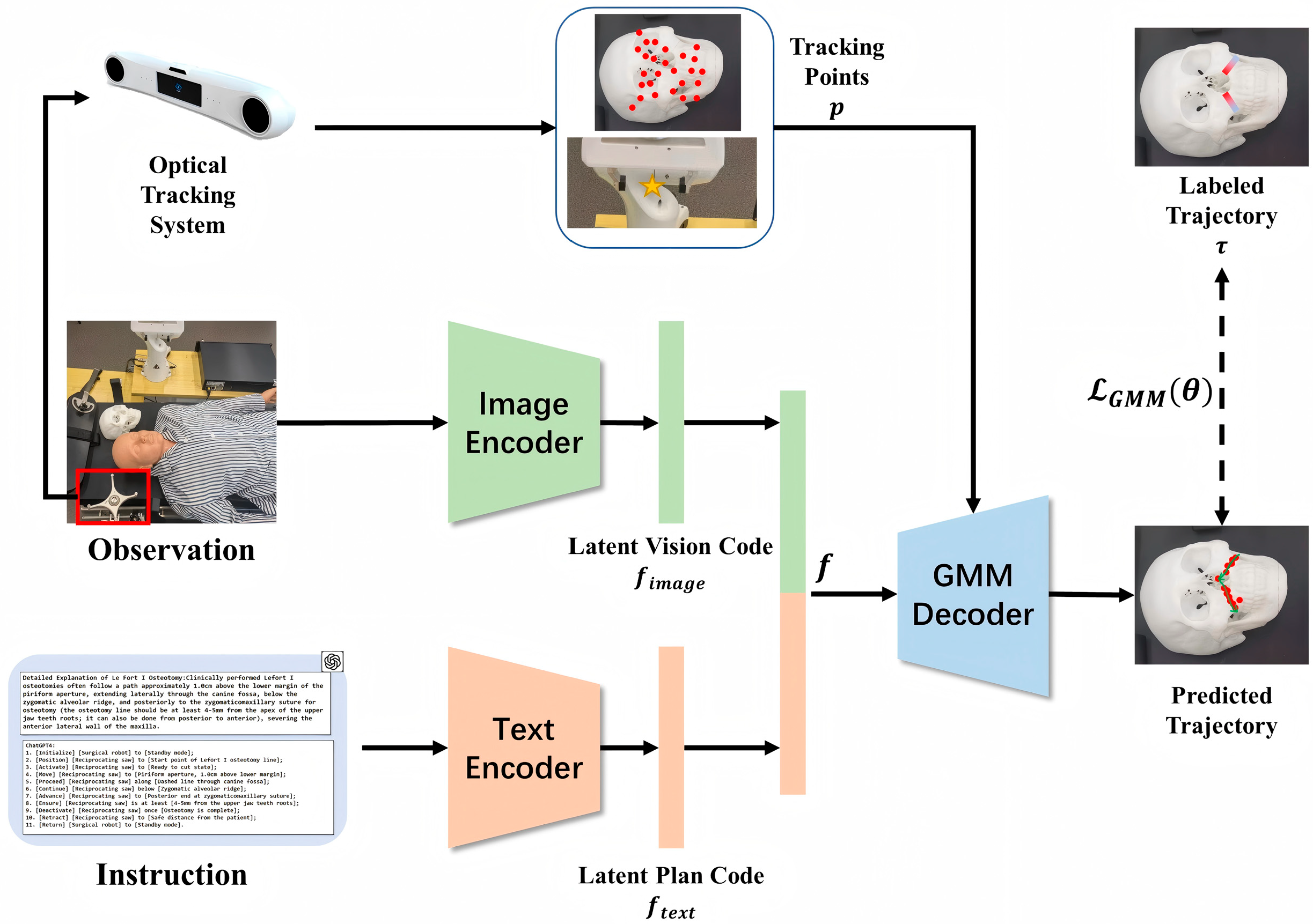 Bioengineering 12 00629 g003