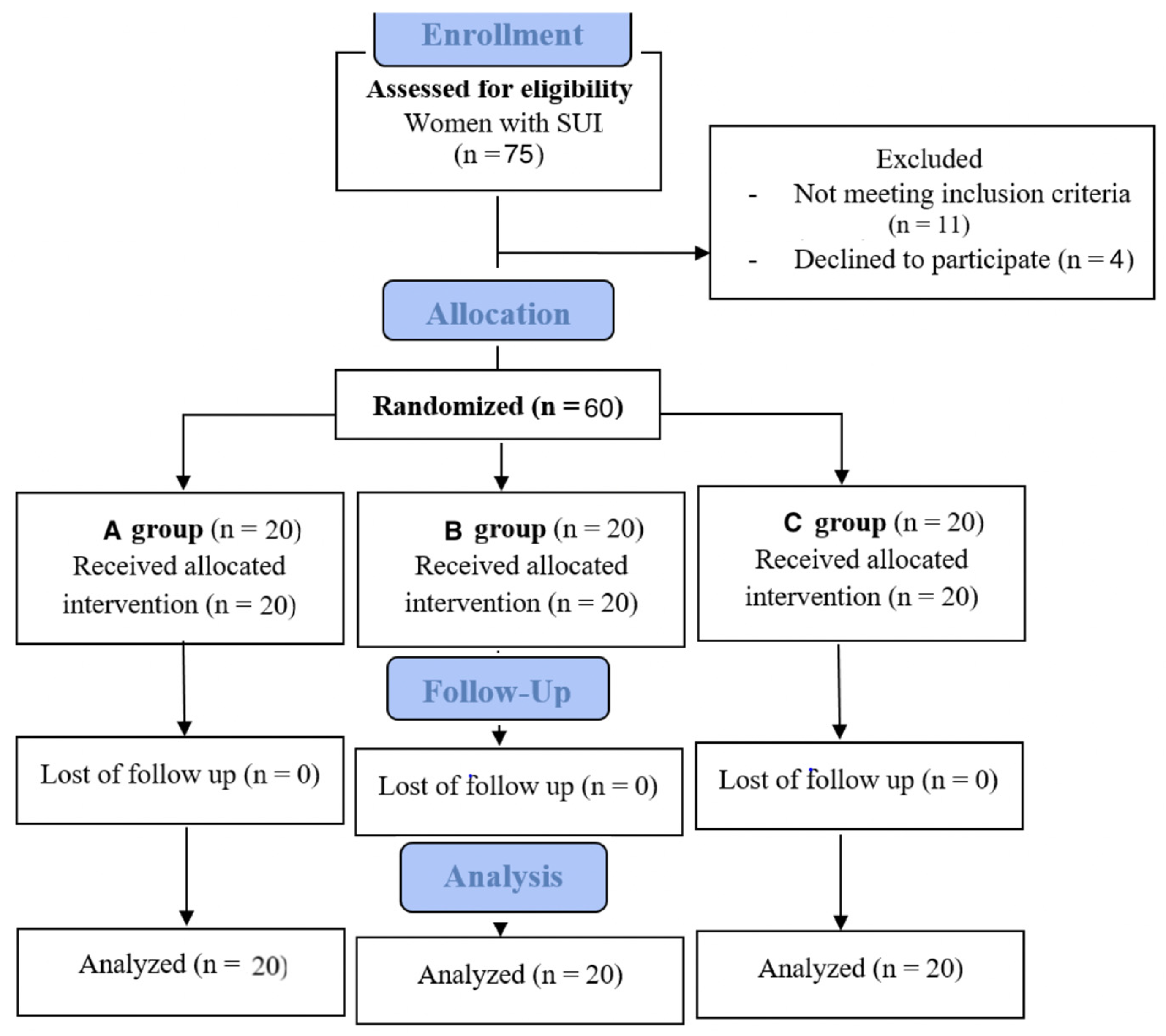 Bioengineering 12 00633 g001