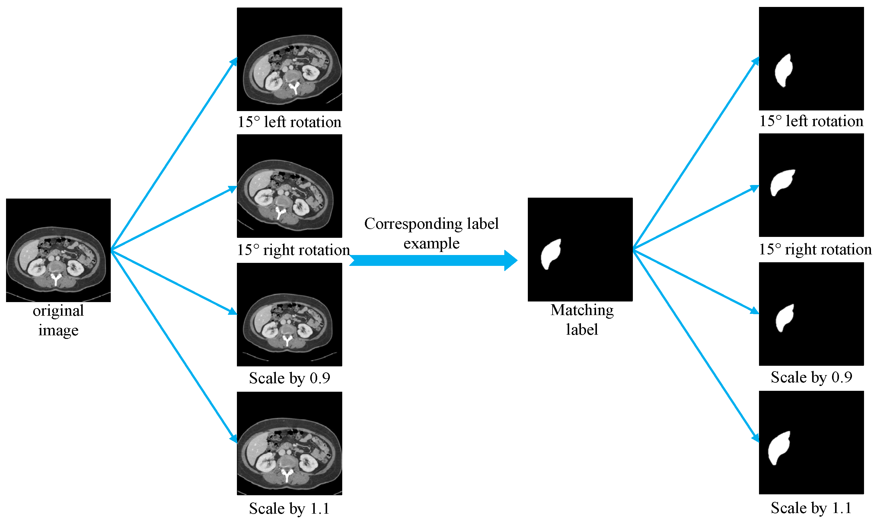 Bioengineering 12 00636 g008