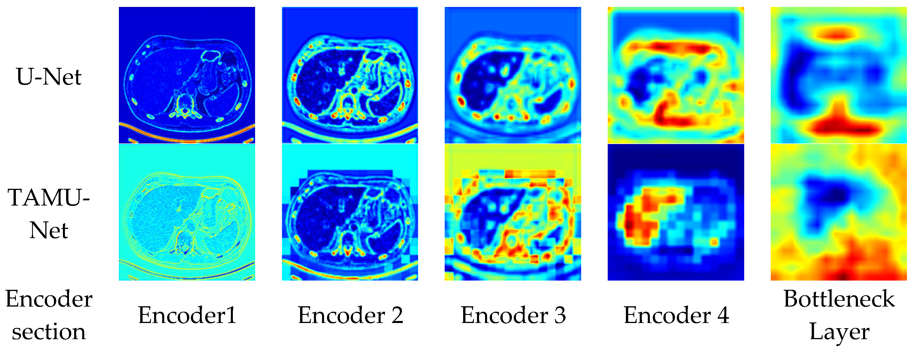 Bioengineering 12 00636 g009