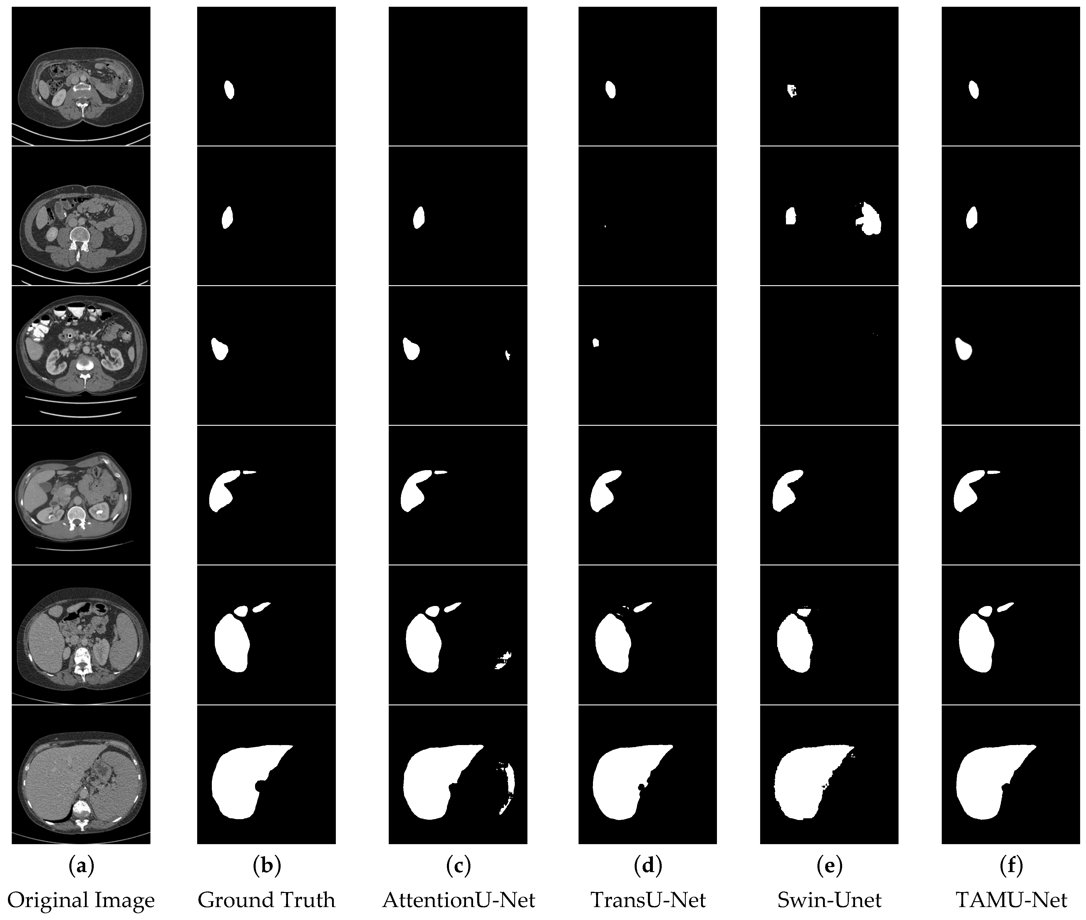 Bioengineering 12 00636 g012