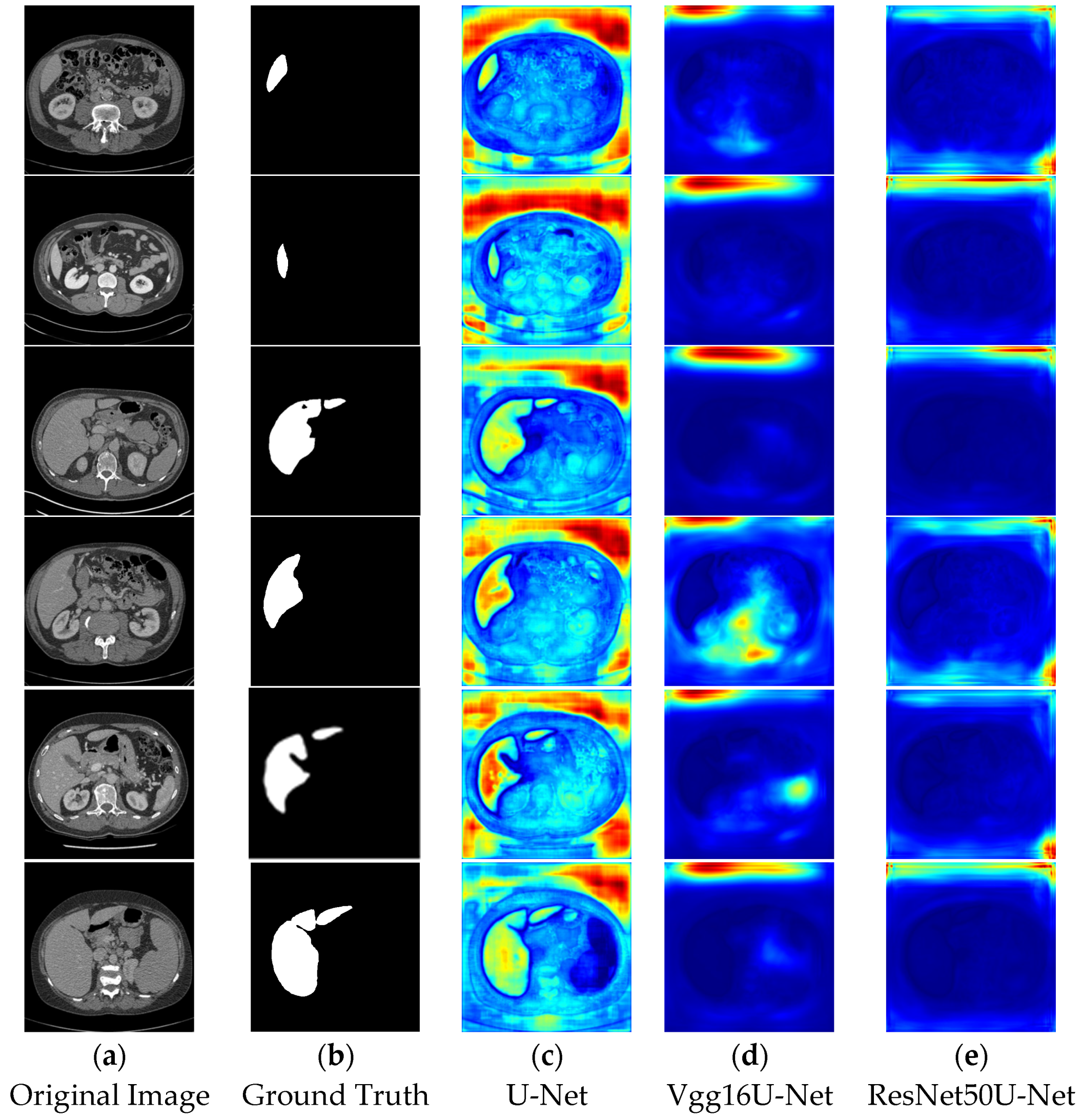 Bioengineering 12 00636 g013
