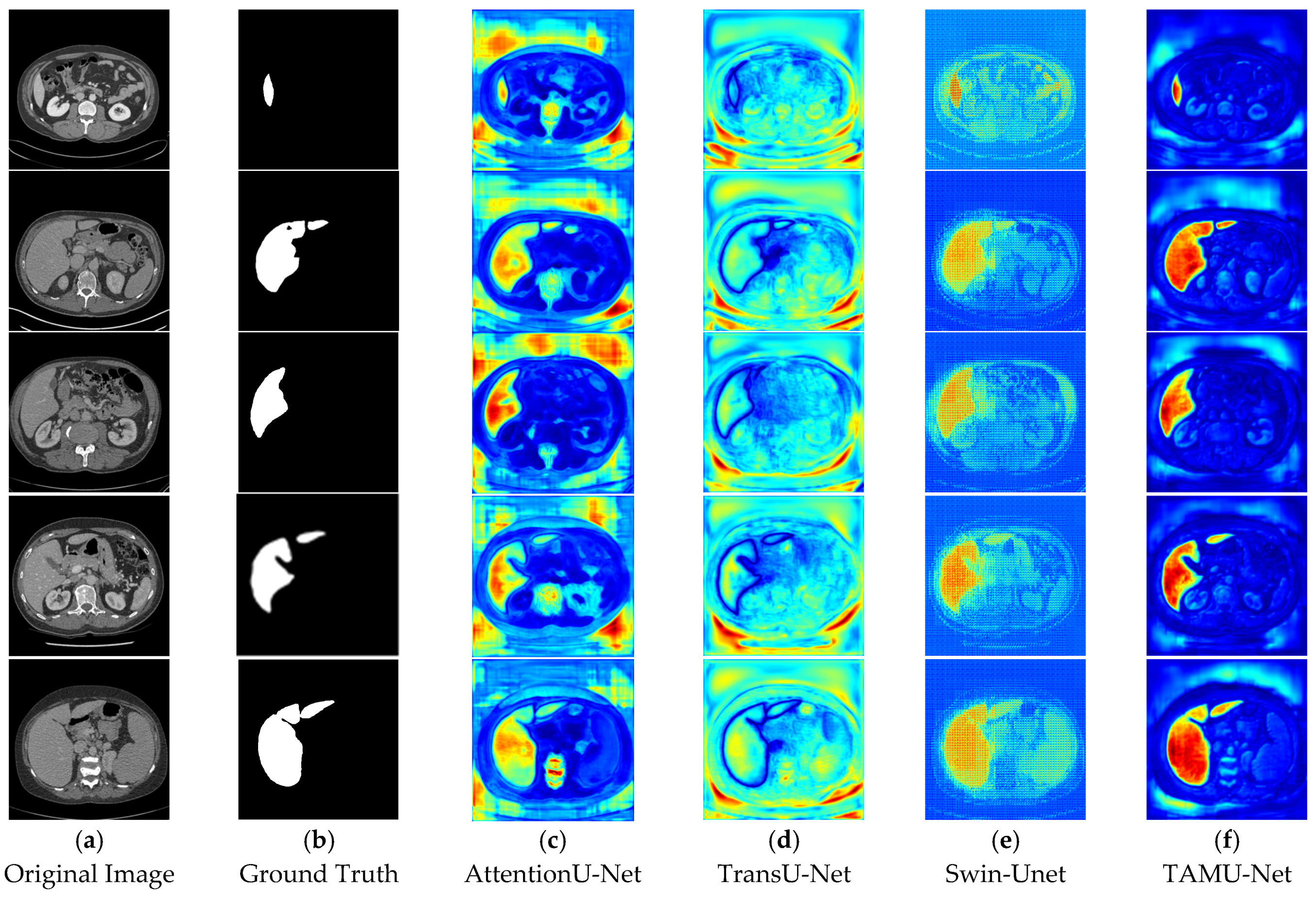 Bioengineering 12 00636 g014