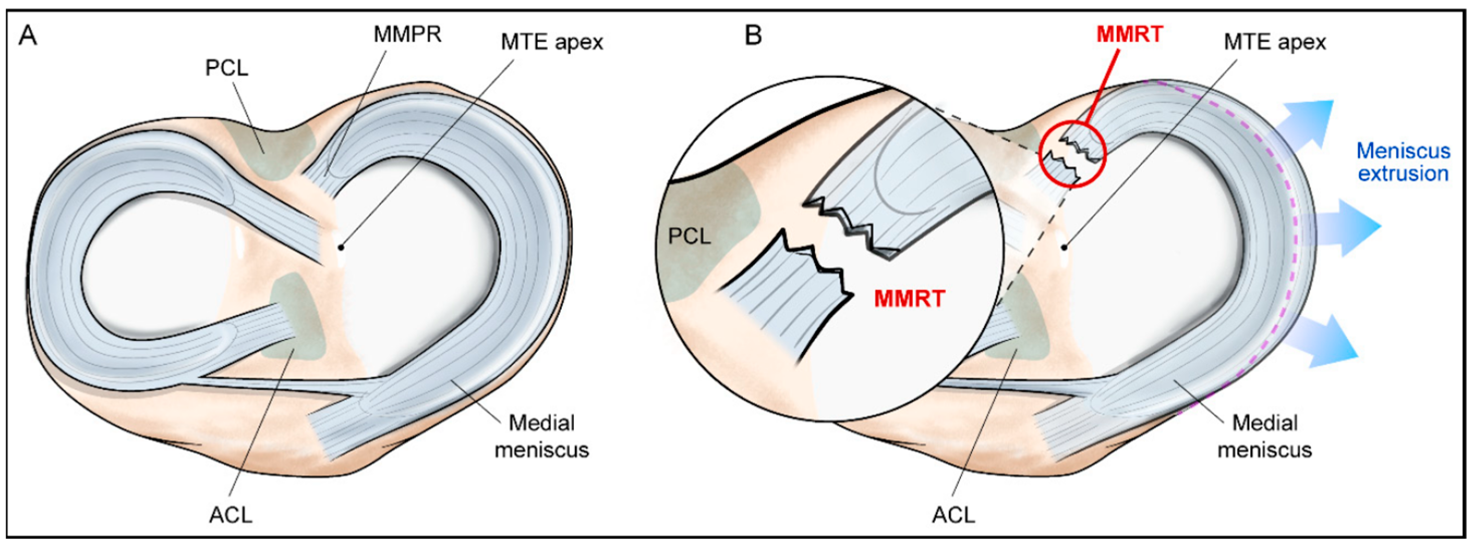 Bioengineering 12 00638 g001