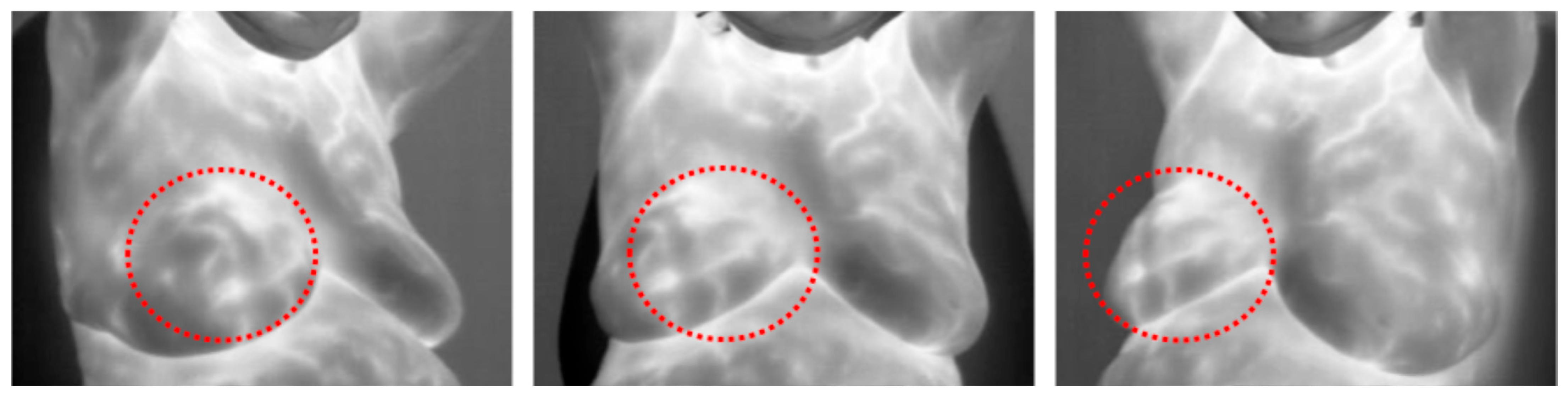 Bioengineering 12 00639 g001