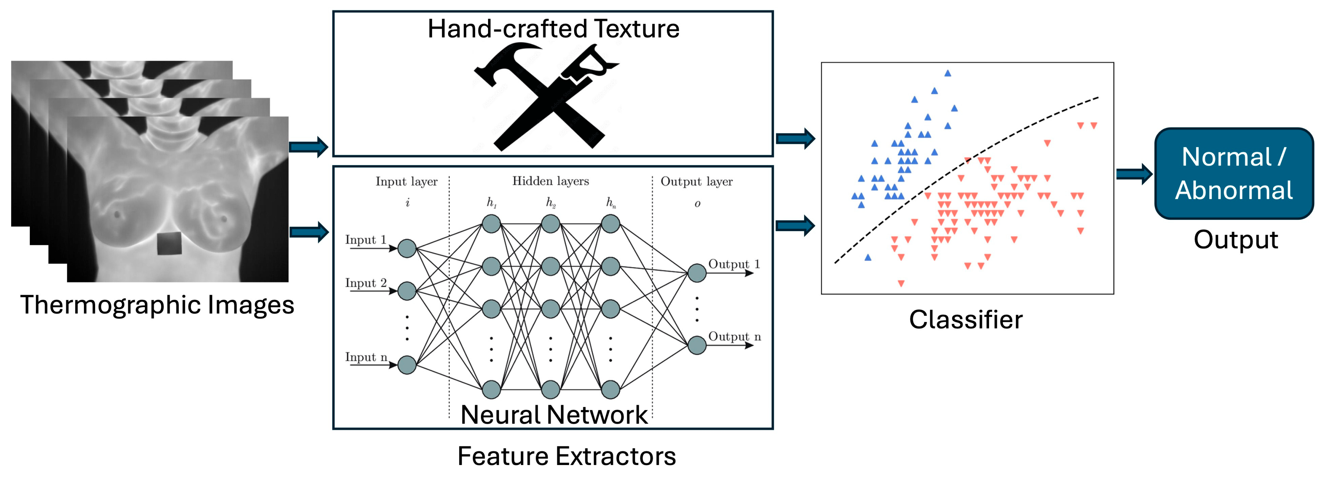 Bioengineering 12 00639 g003