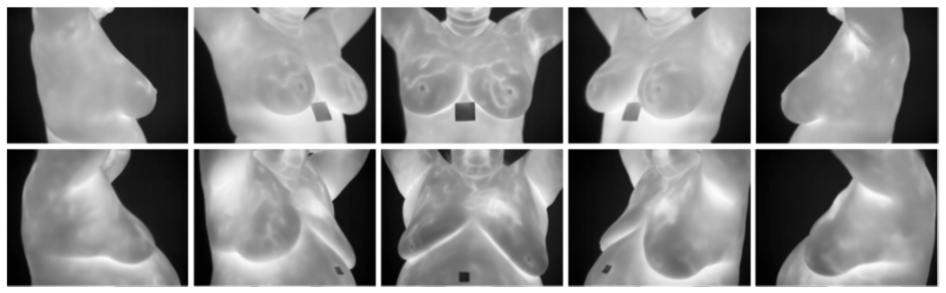 Bioengineering 12 00639 g004