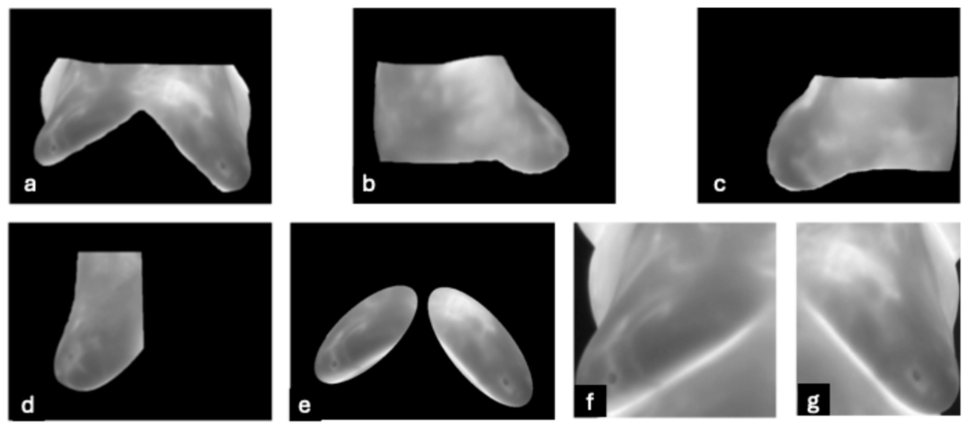 Bioengineering 12 00639 g005