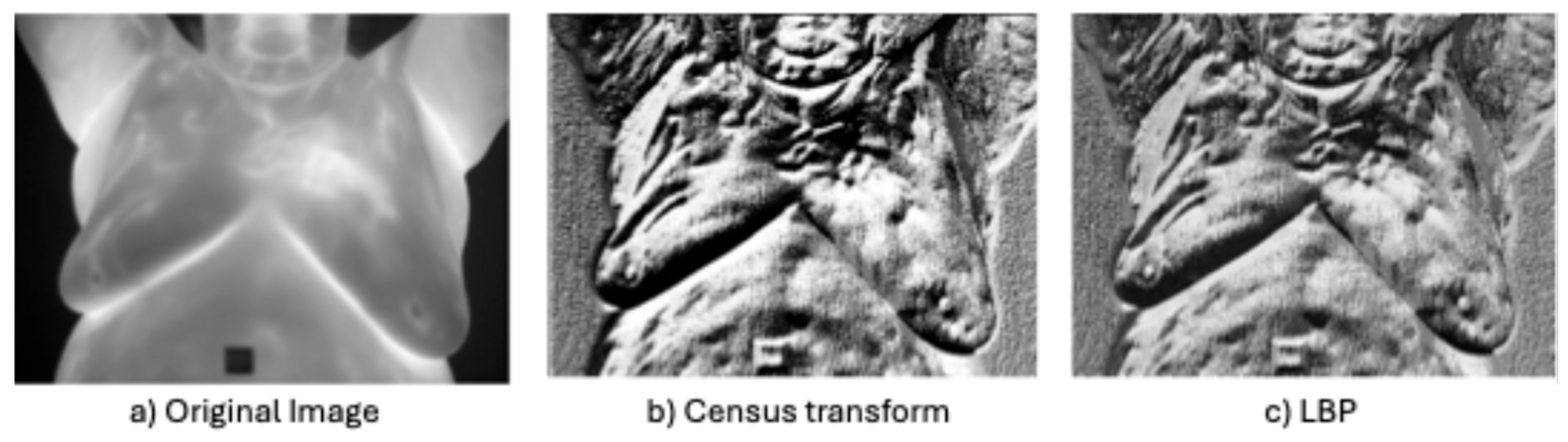 Bioengineering 12 00639 g009