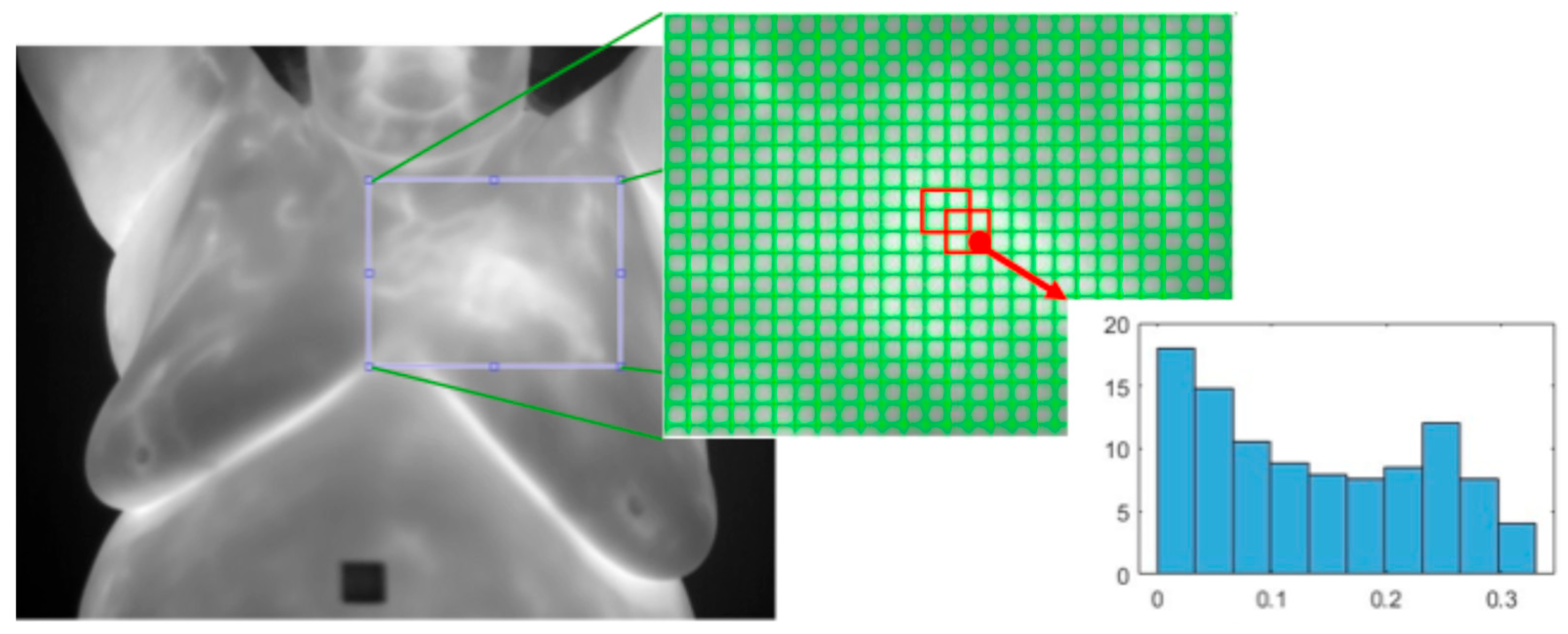 Bioengineering 12 00639 g011
