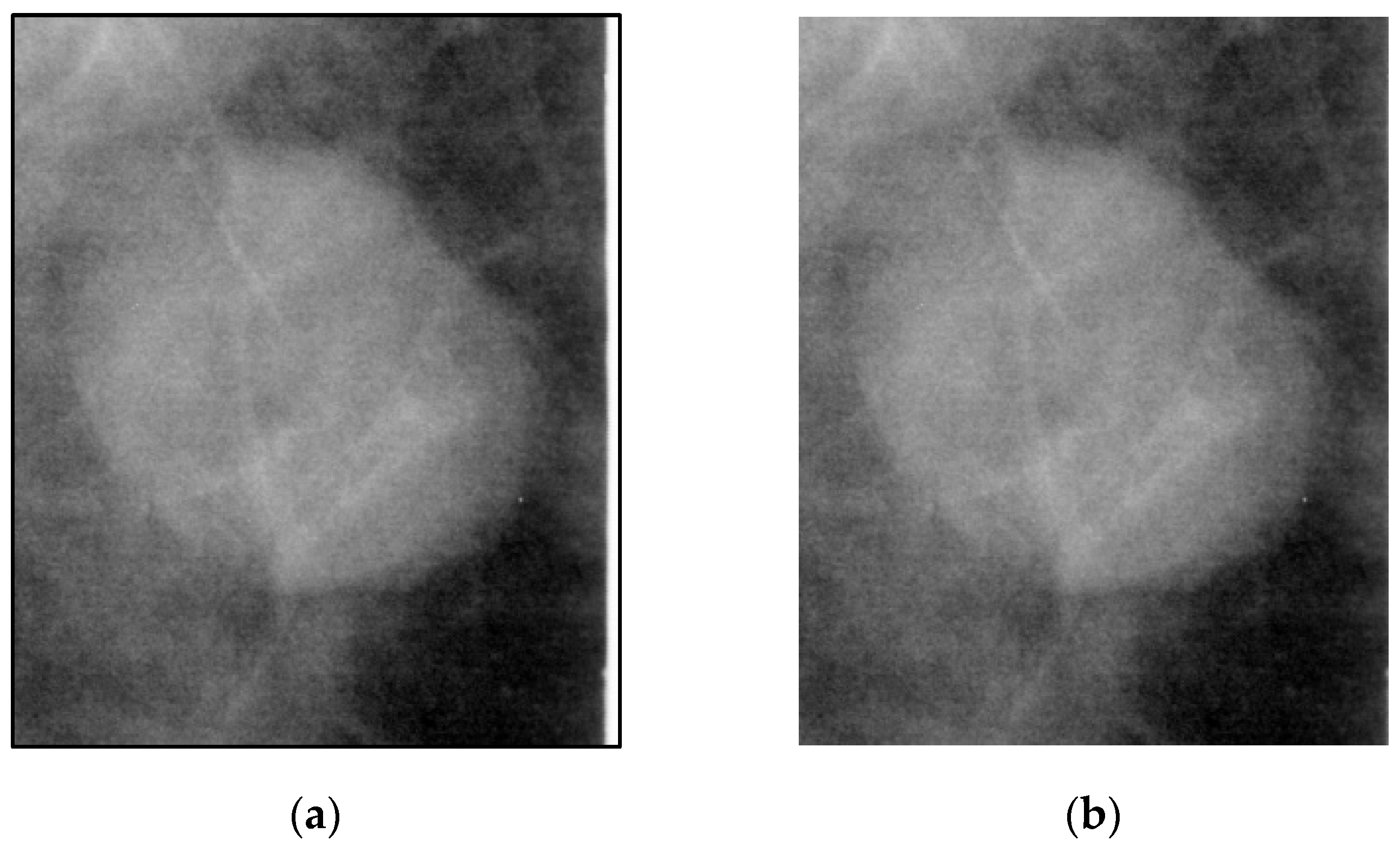 Bioengineering 12 00640 g001