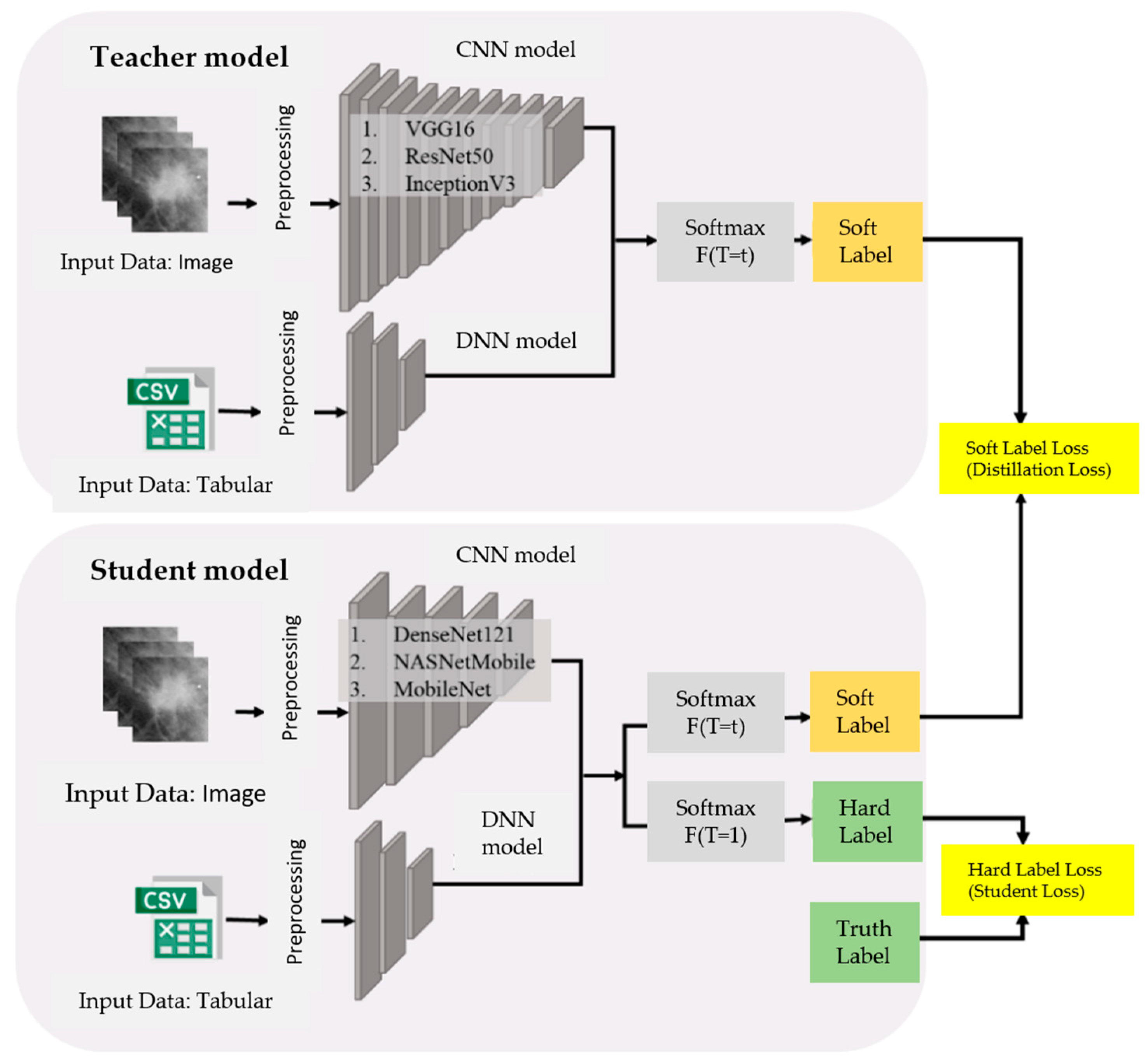 Bioengineering 12 00640 g006