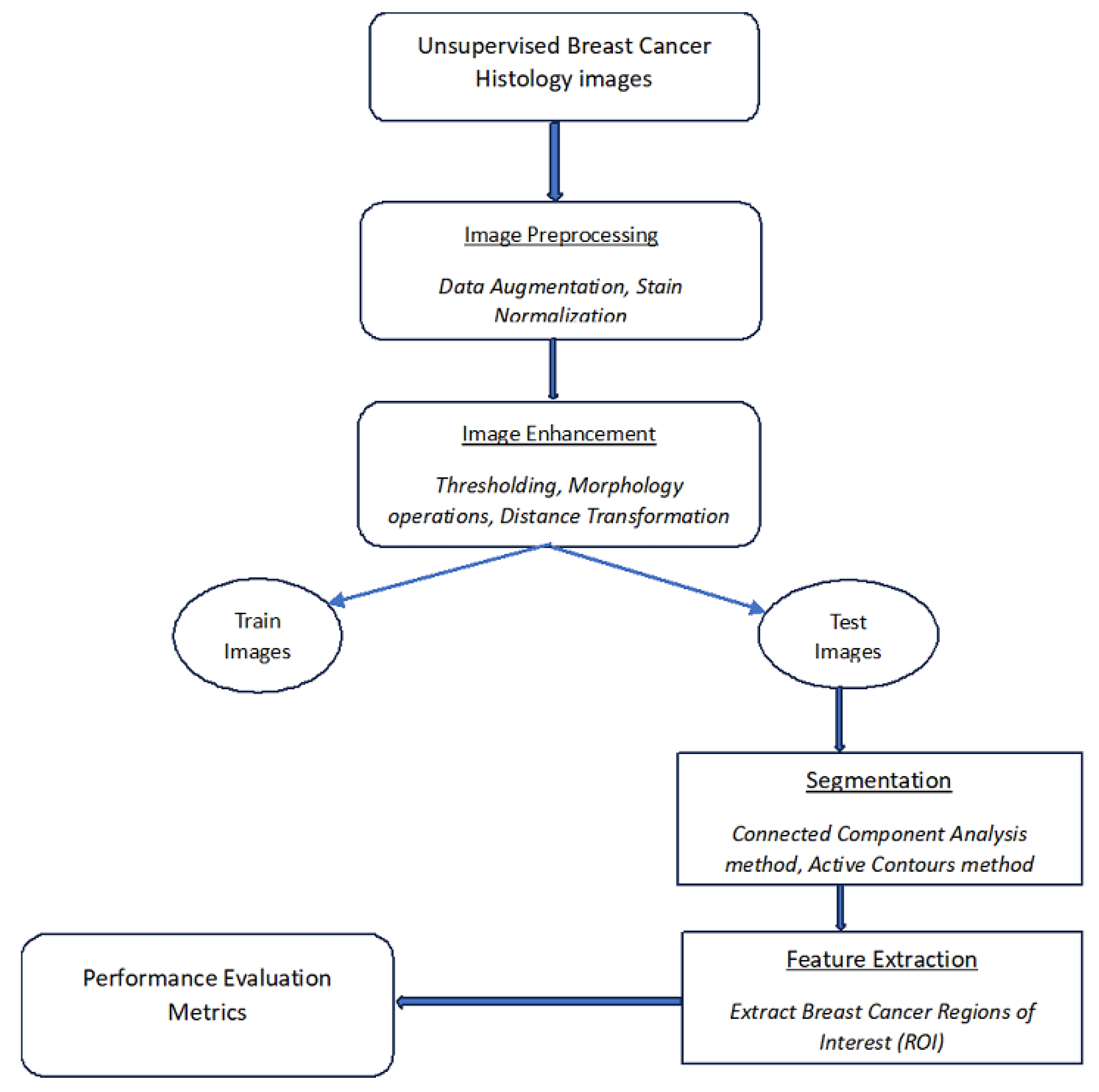 Bioengineering 12 00642 g001