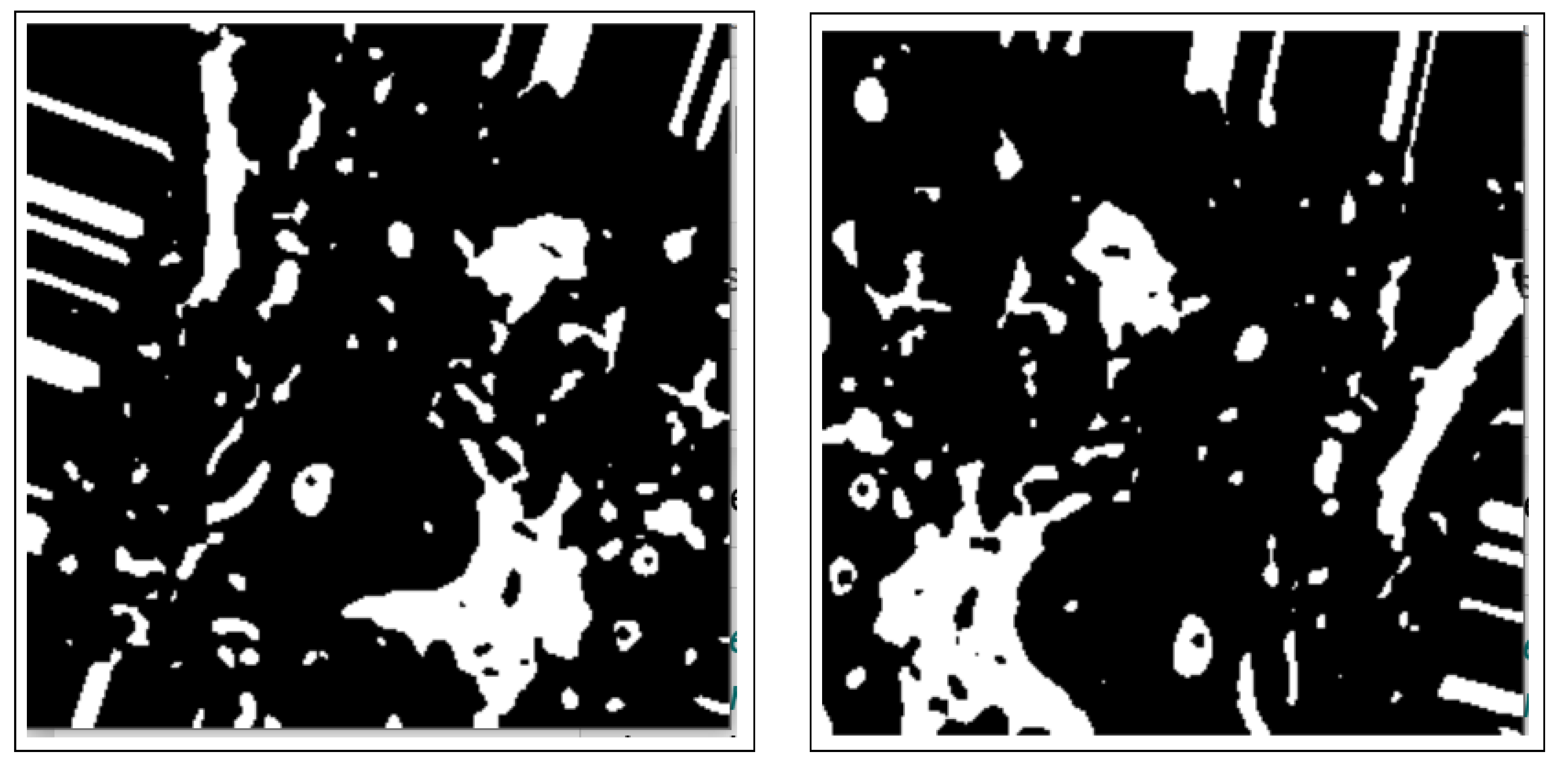 Bioengineering 12 00642 g003