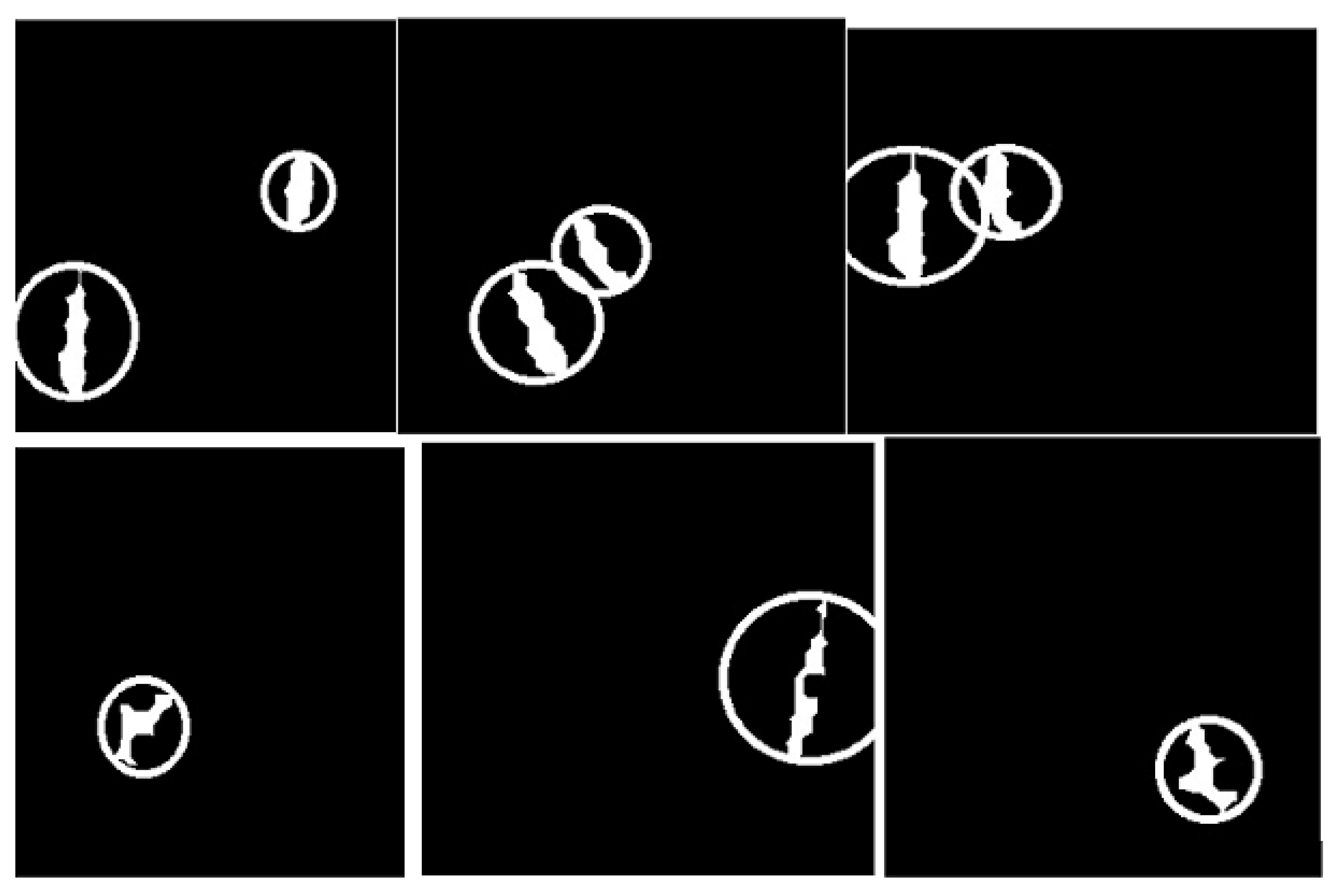 Bioengineering 12 00642 g010