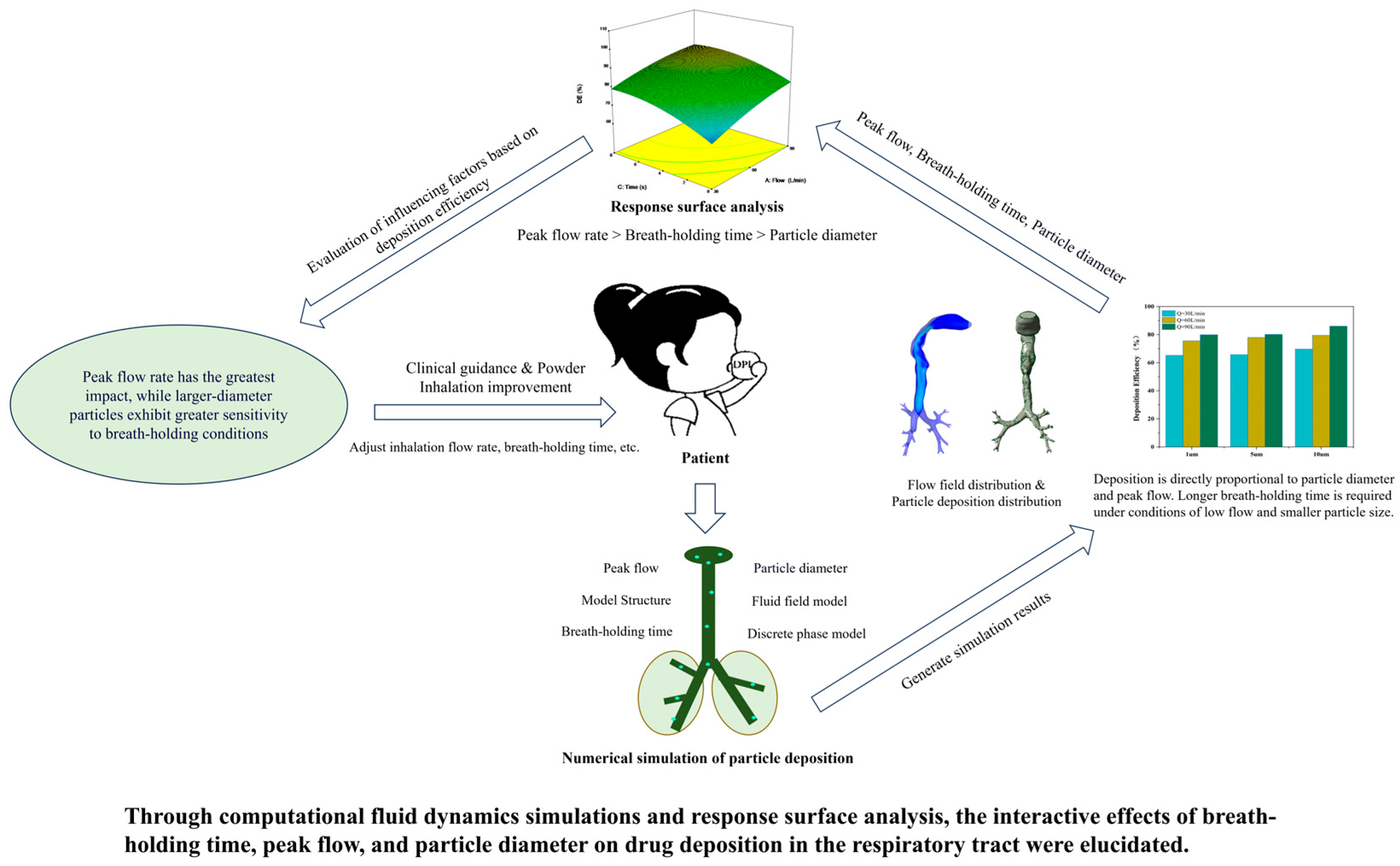 Bioengineering 12 00643 g001