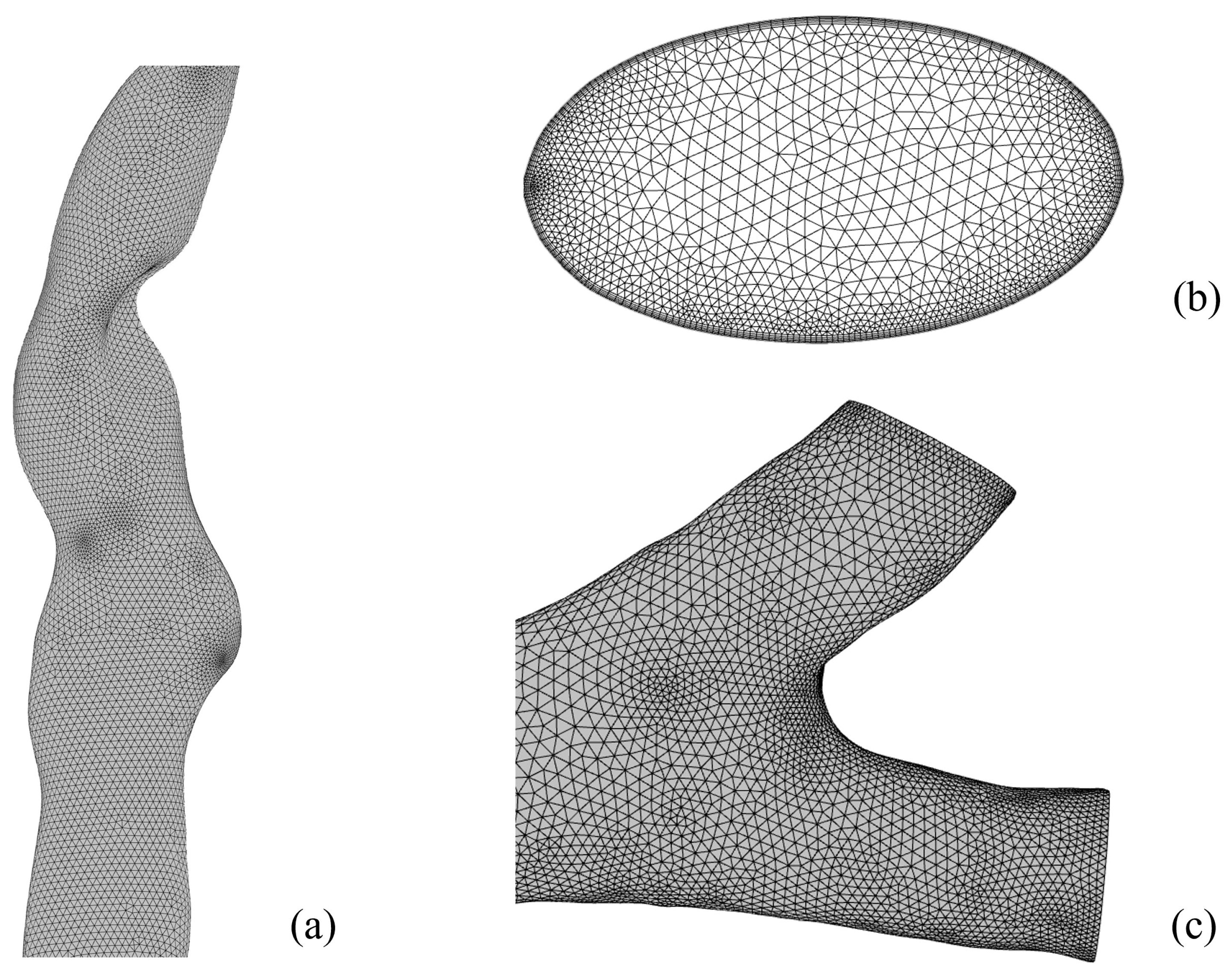 Bioengineering 12 00643 g003