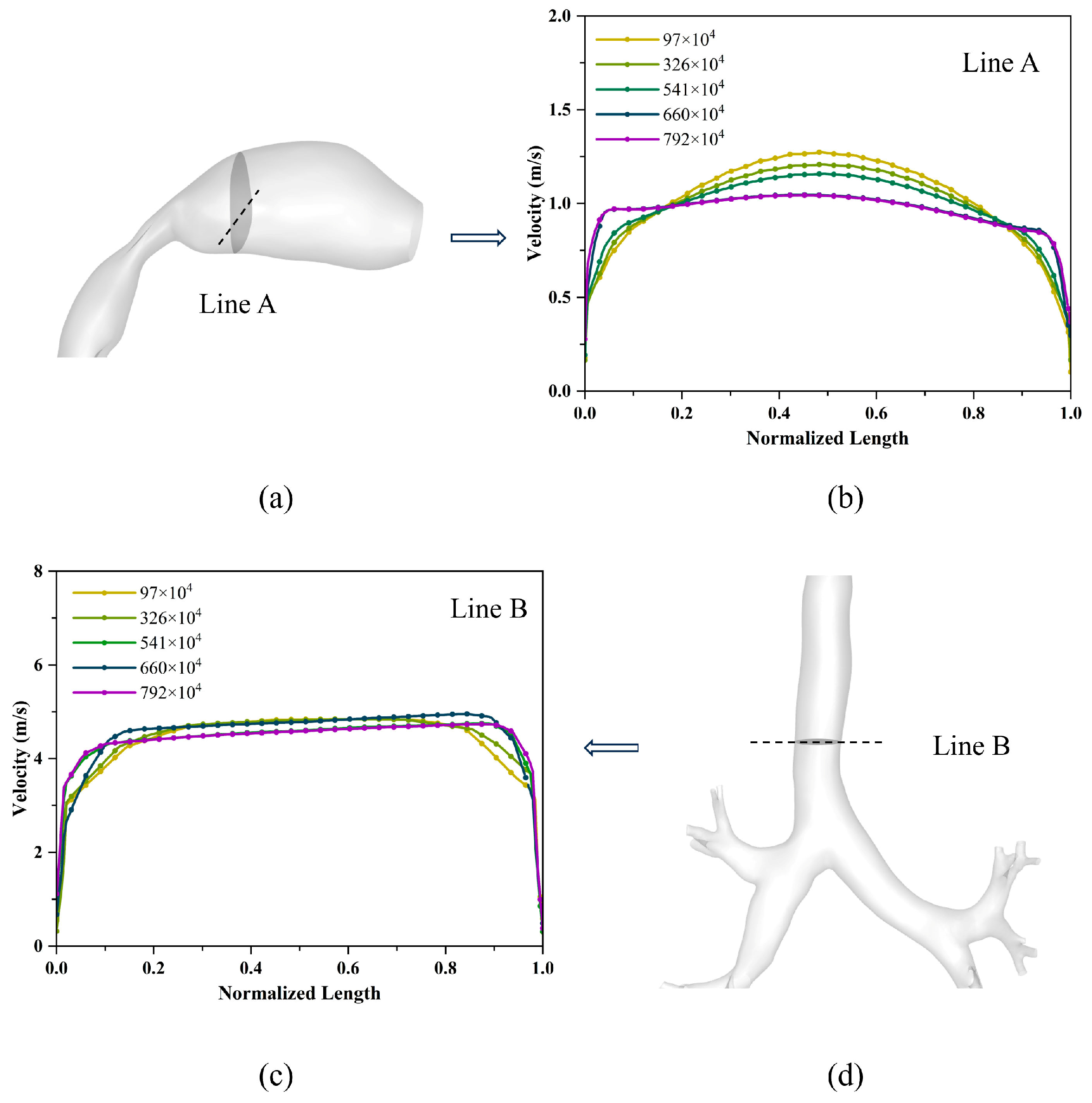 Bioengineering 12 00643 g004