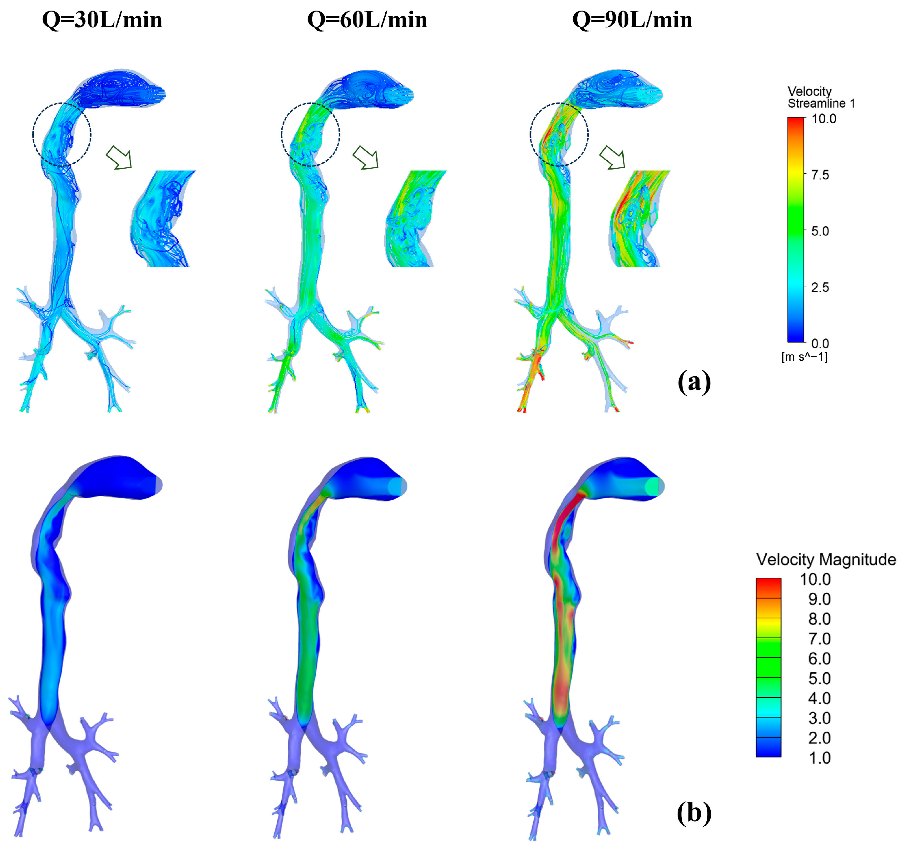 Bioengineering 12 00643 g007