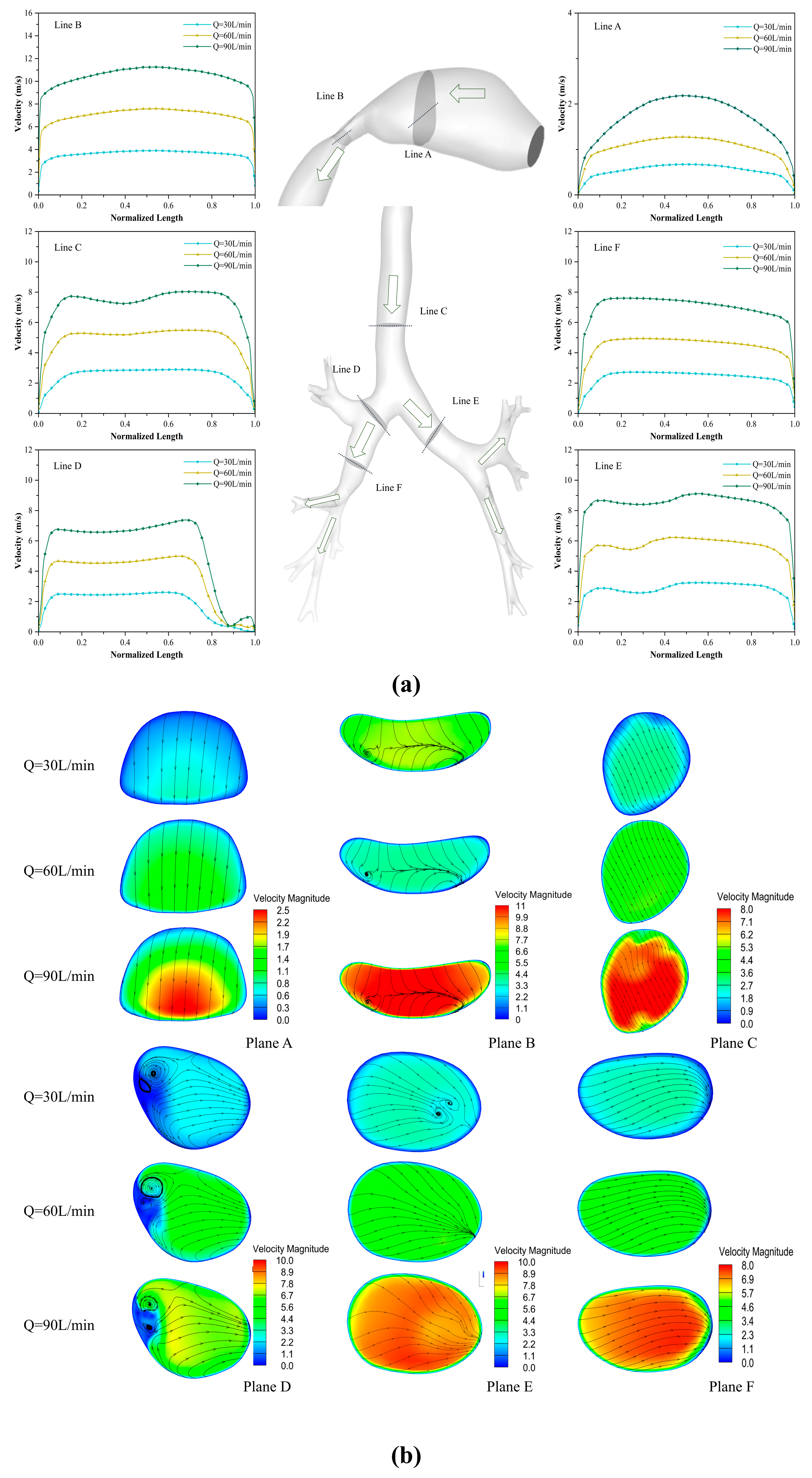 Bioengineering 12 00643 g008