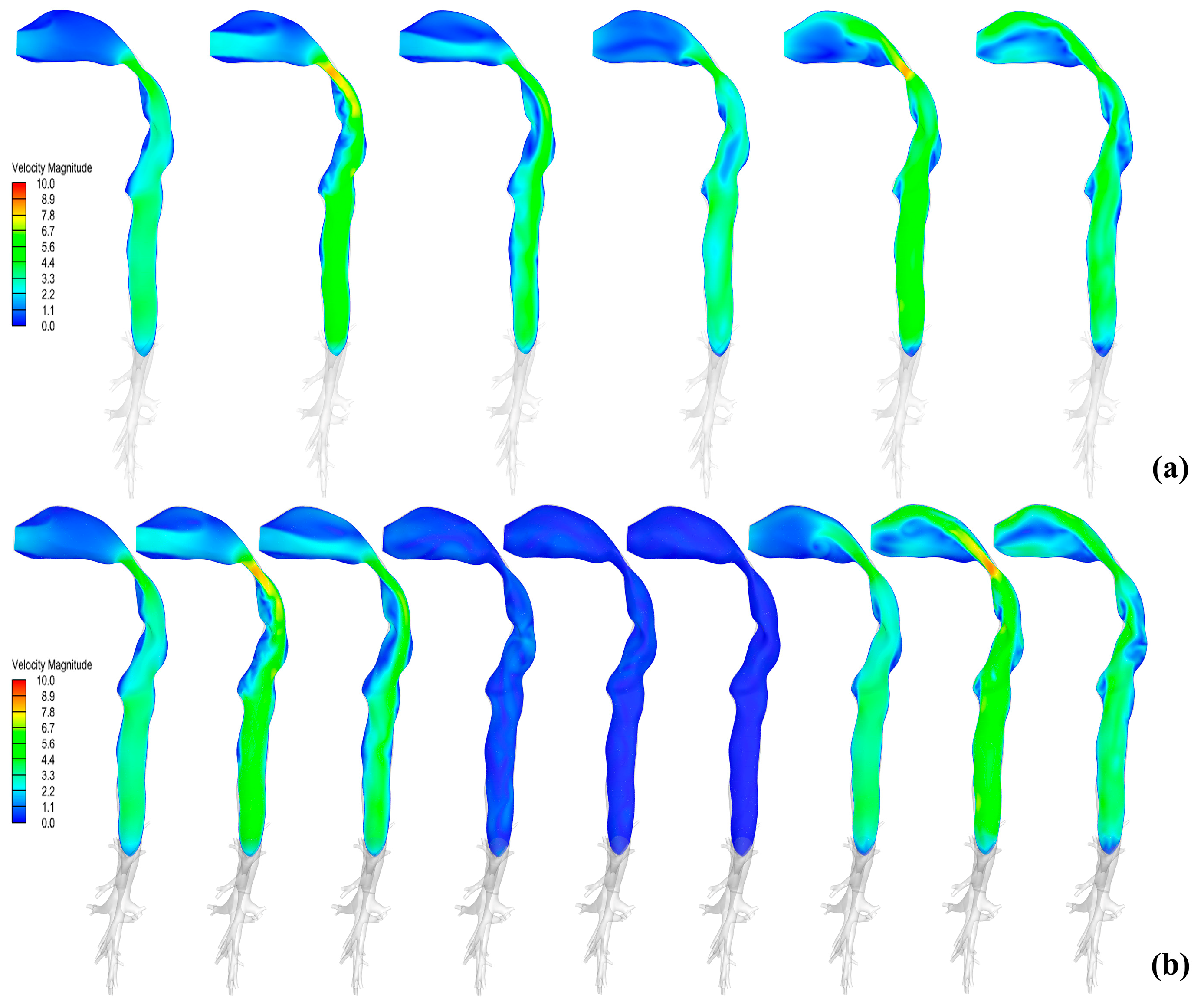 Bioengineering 12 00643 g009