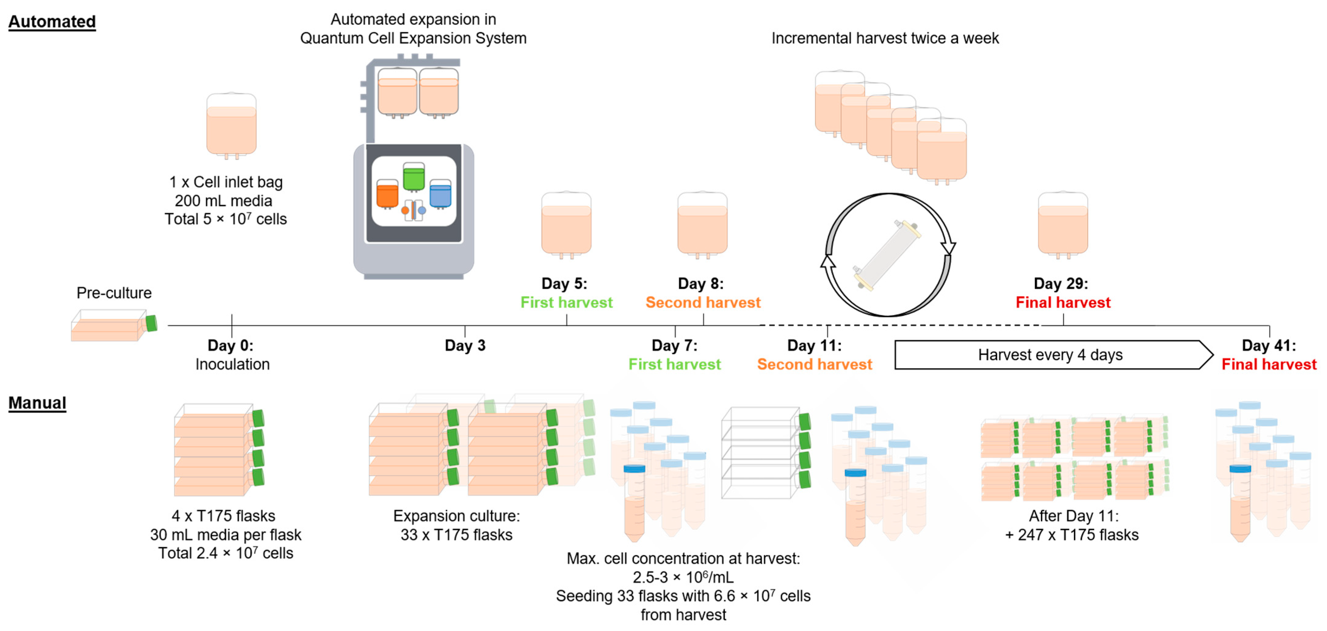 Bioengineering 12 00644 g001