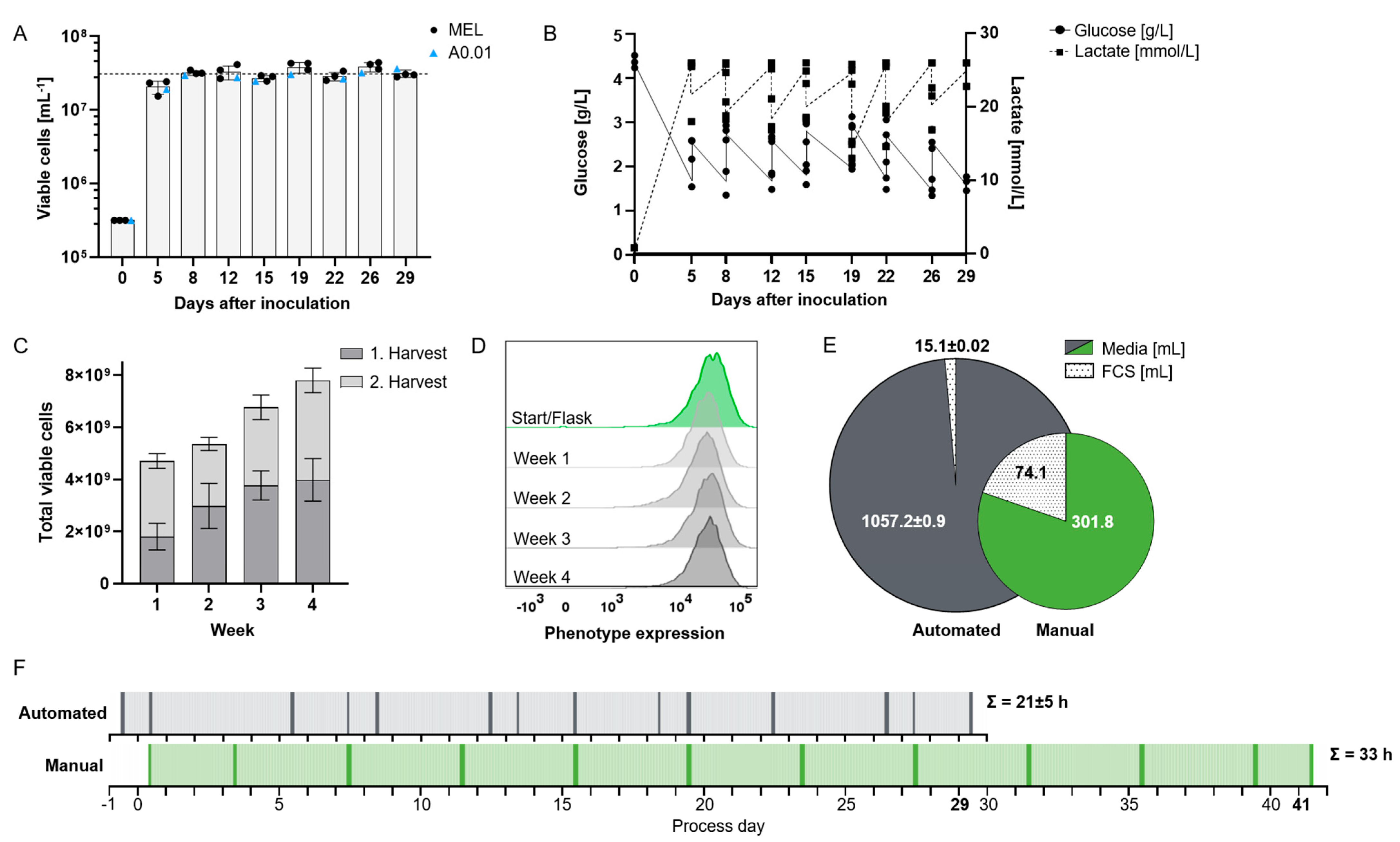 Bioengineering 12 00644 g002