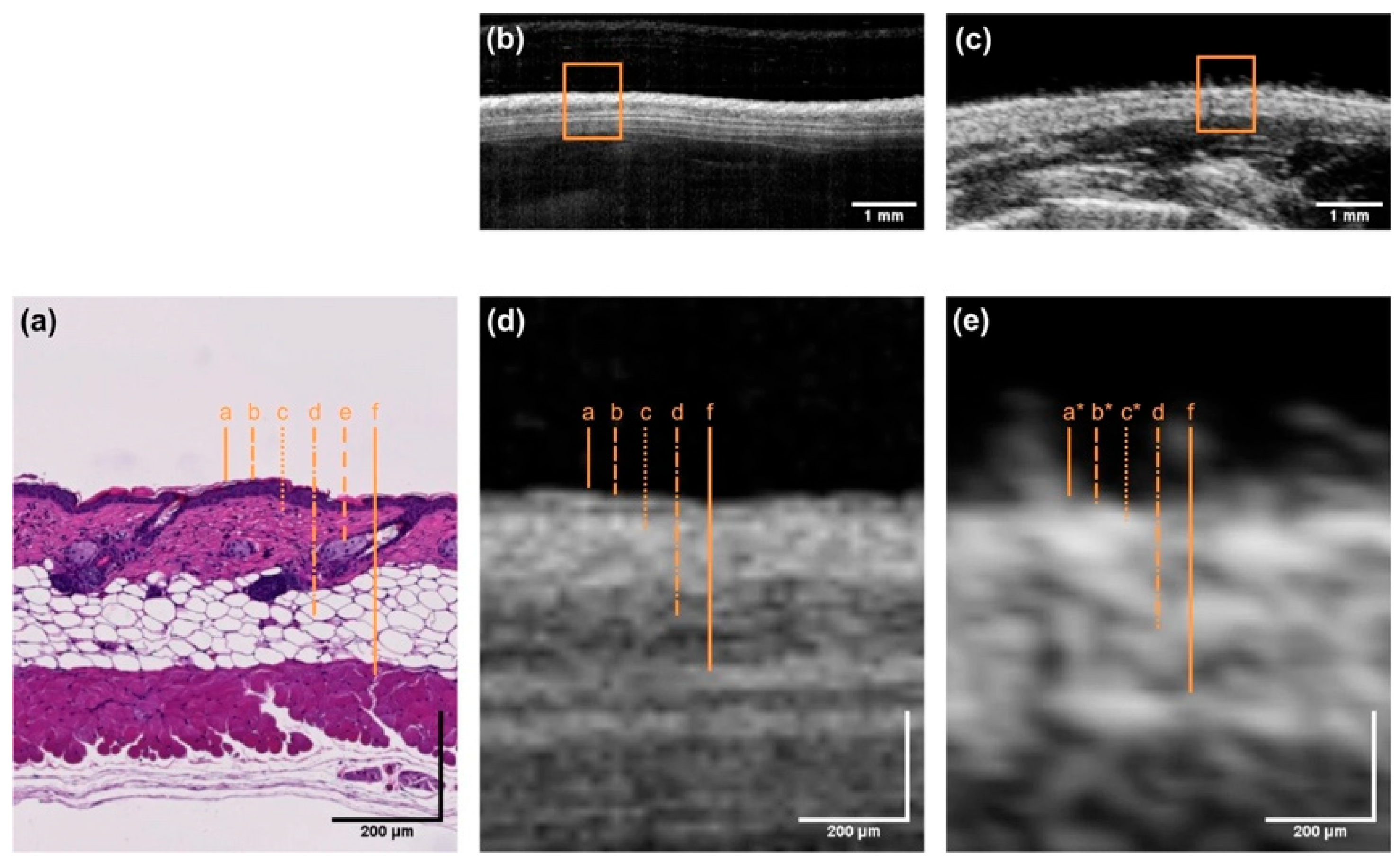 Bioengineering 12 00650 g002 Bioengineering 12 00650 g002