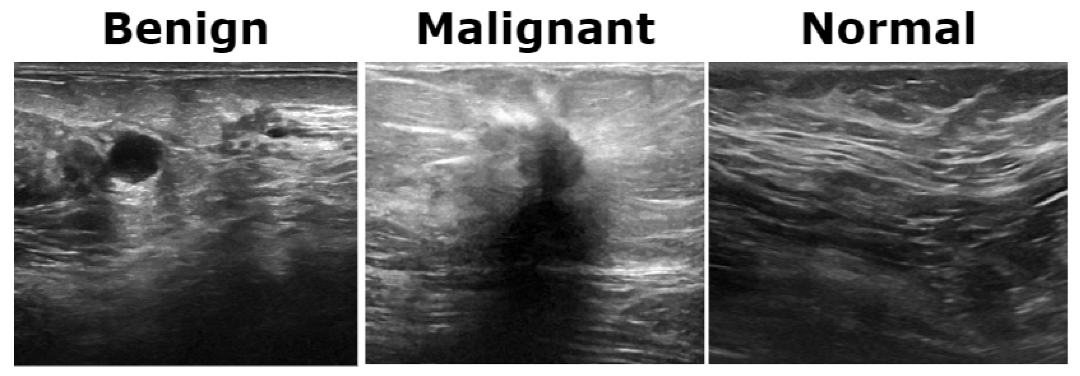 Bioengineering 12 00651 g003
