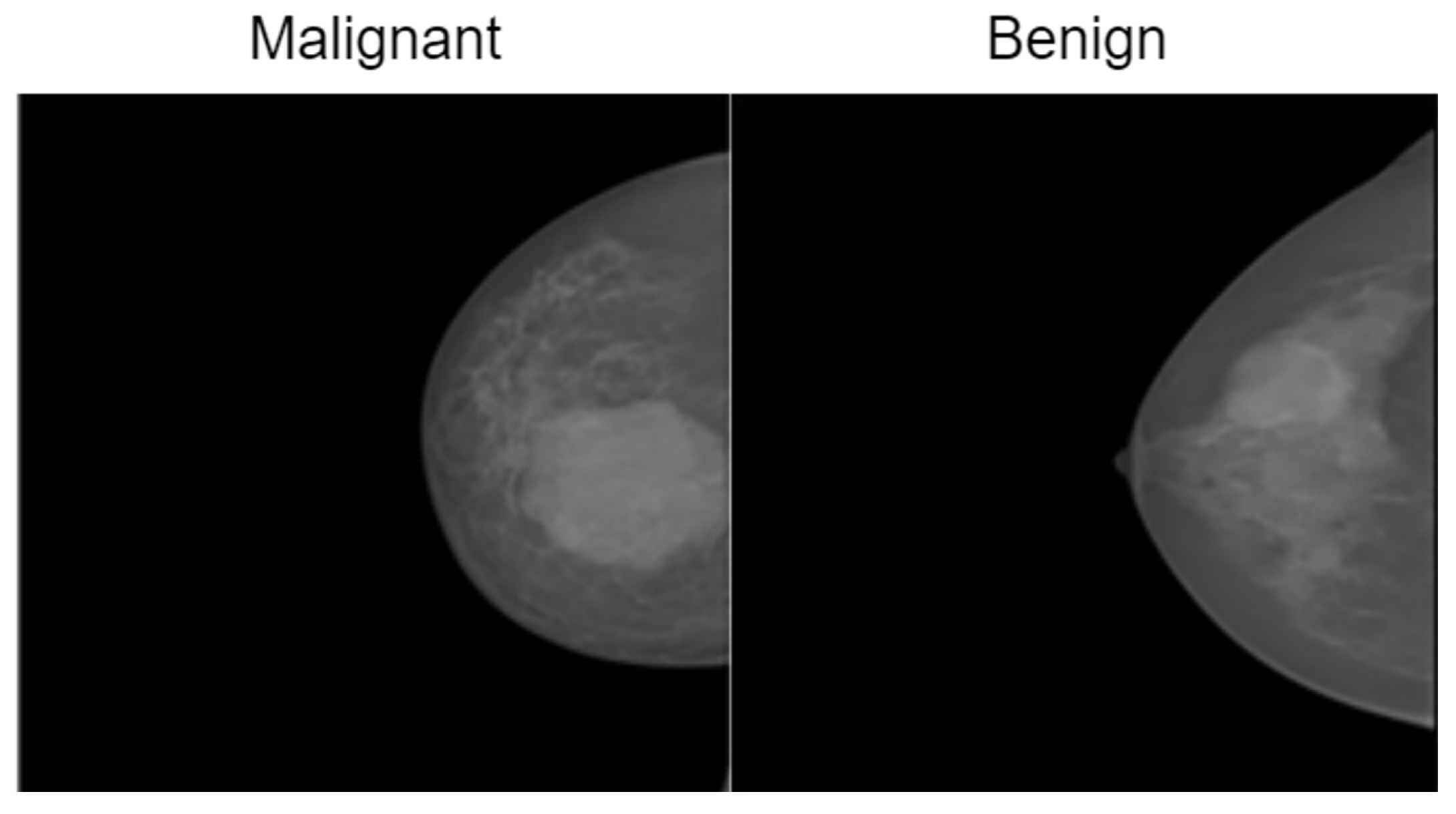 Bioengineering 12 00651 g004