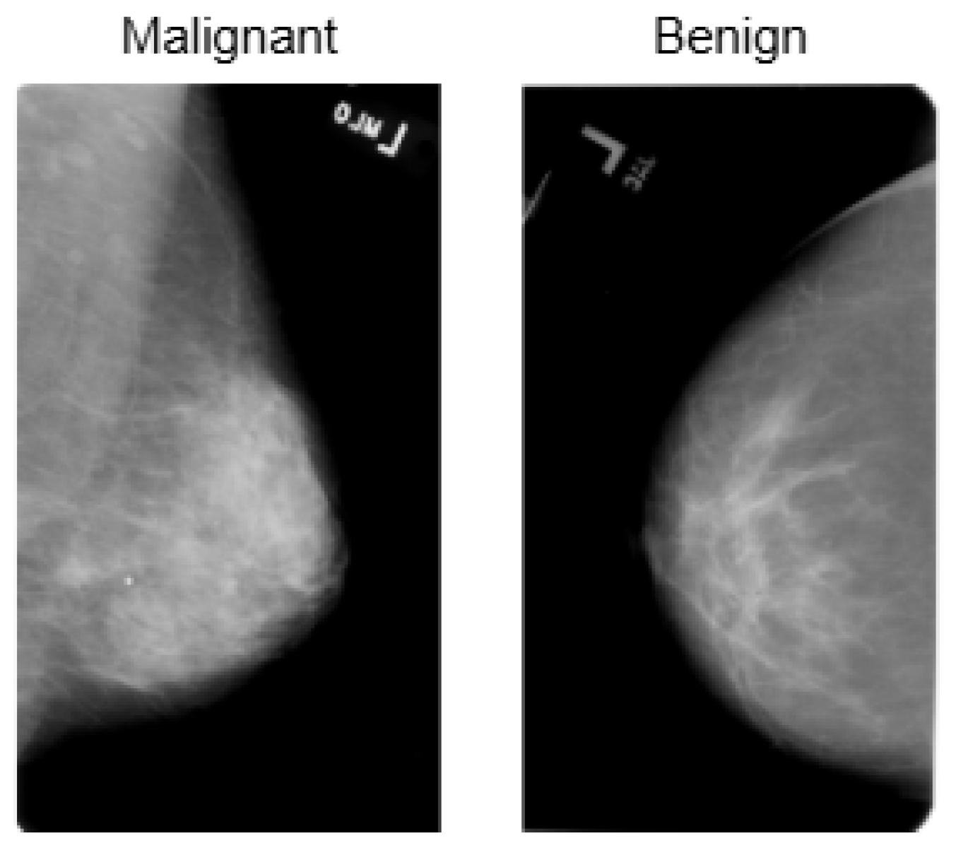 Bioengineering 12 00651 g005