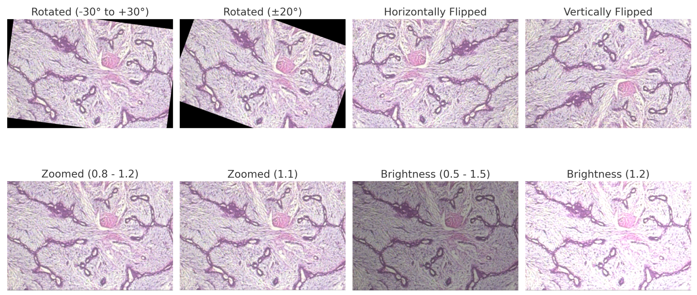 Bioengineering 12 00651 g006