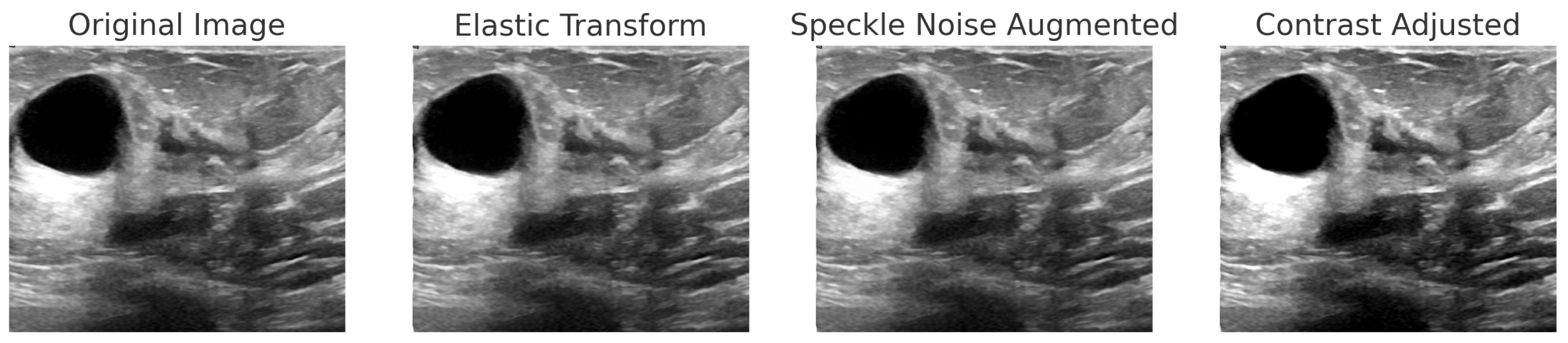 Bioengineering 12 00651 g007