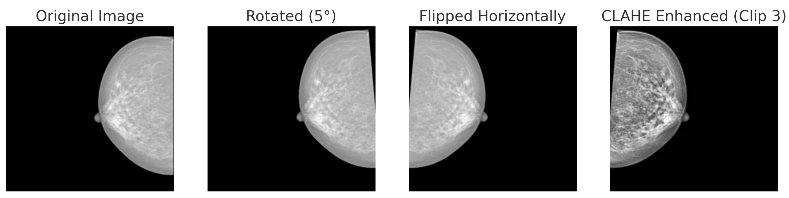 Bioengineering 12 00651 g008