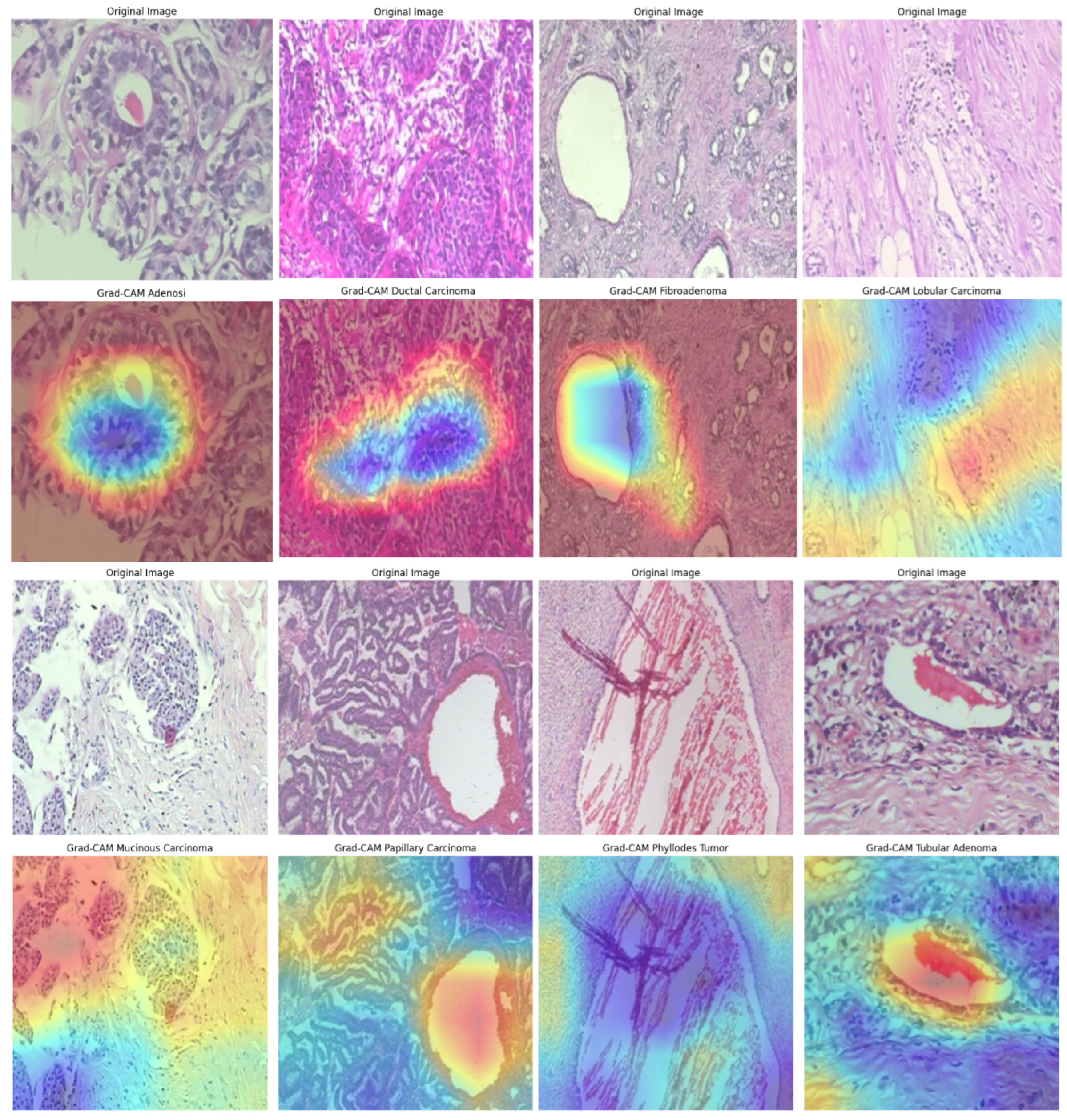 Bioengineering 12 00651 g018
