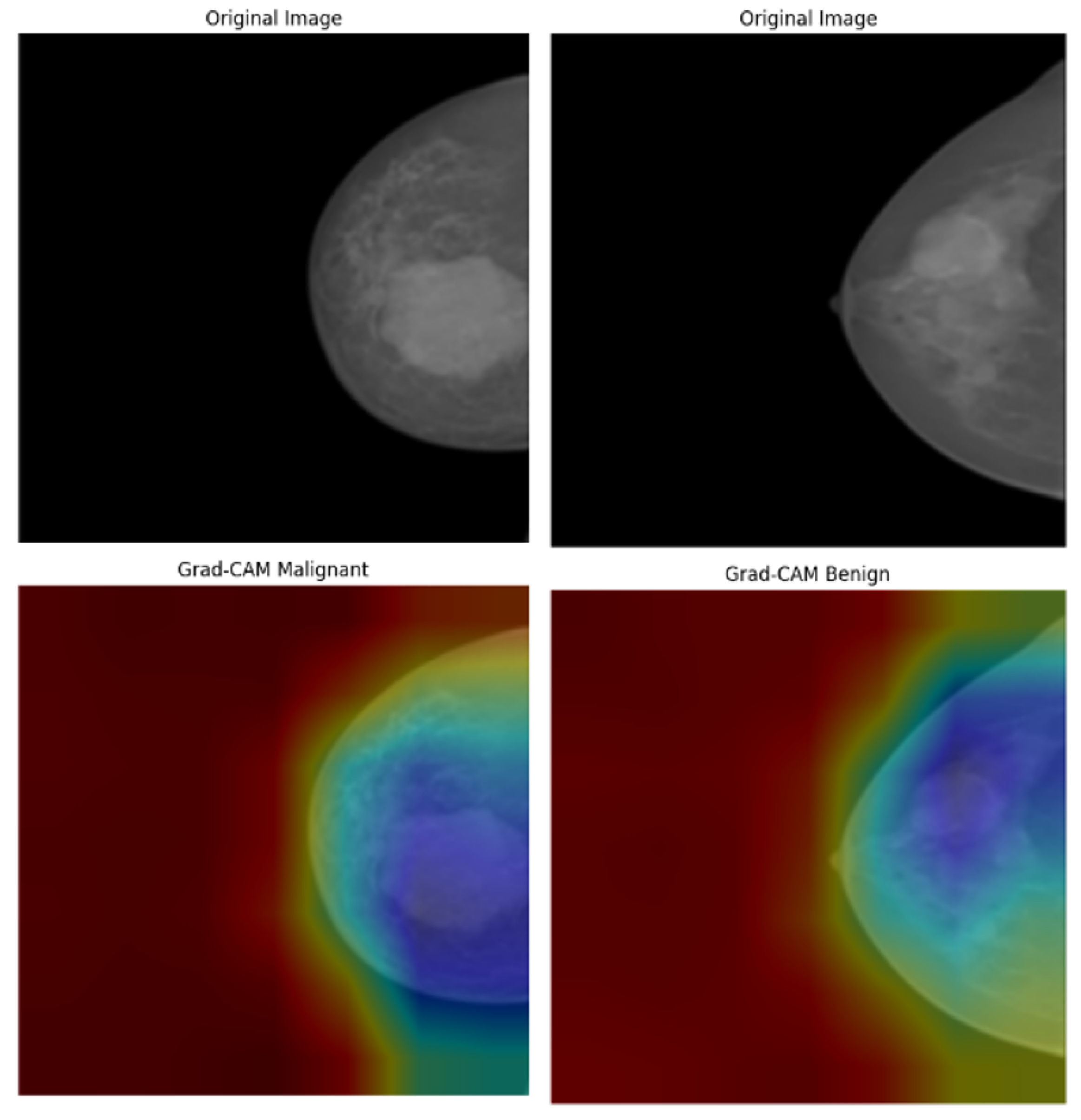 Bioengineering 12 00651 g020