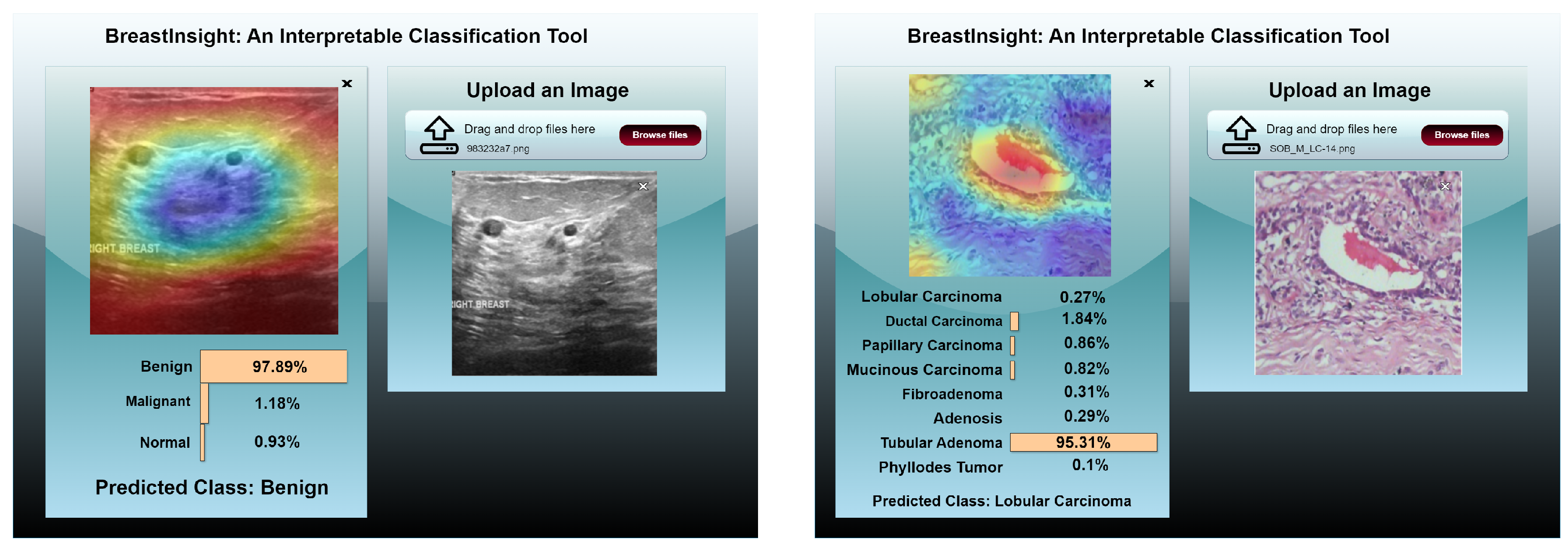 Bioengineering 12 00651 g022