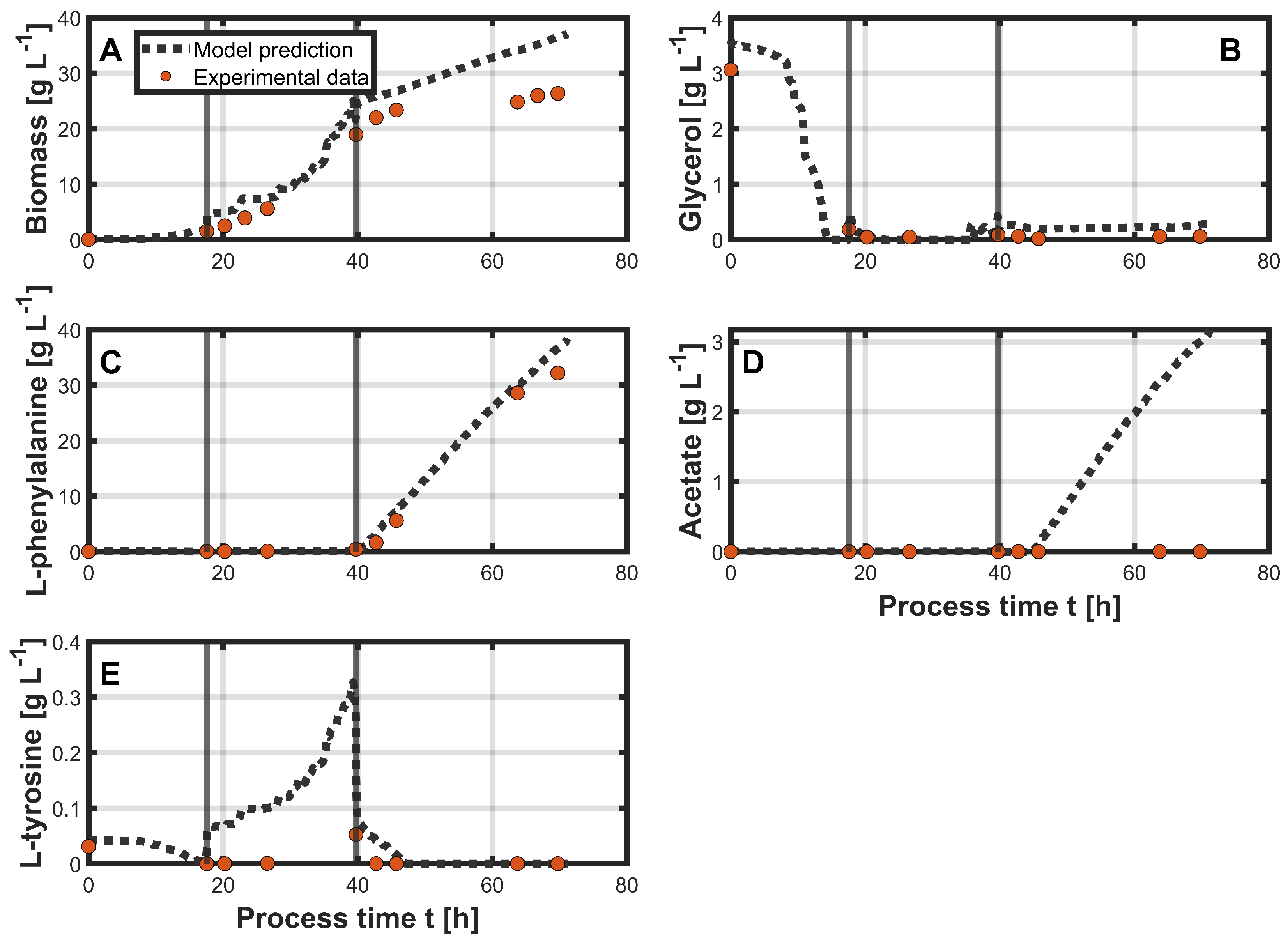 Bioengineering 12 00654 g003
