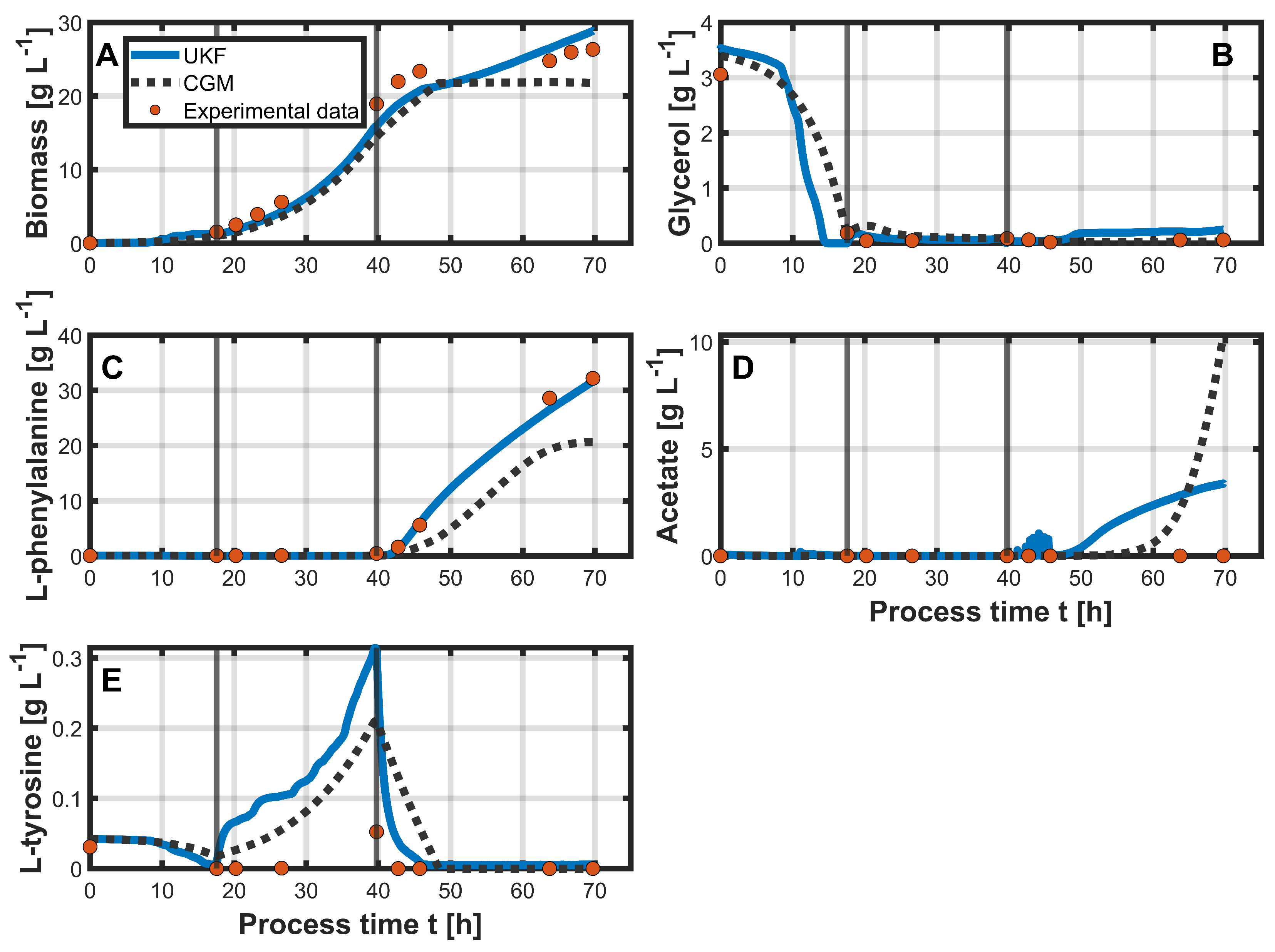 Bioengineering 12 00654 g004