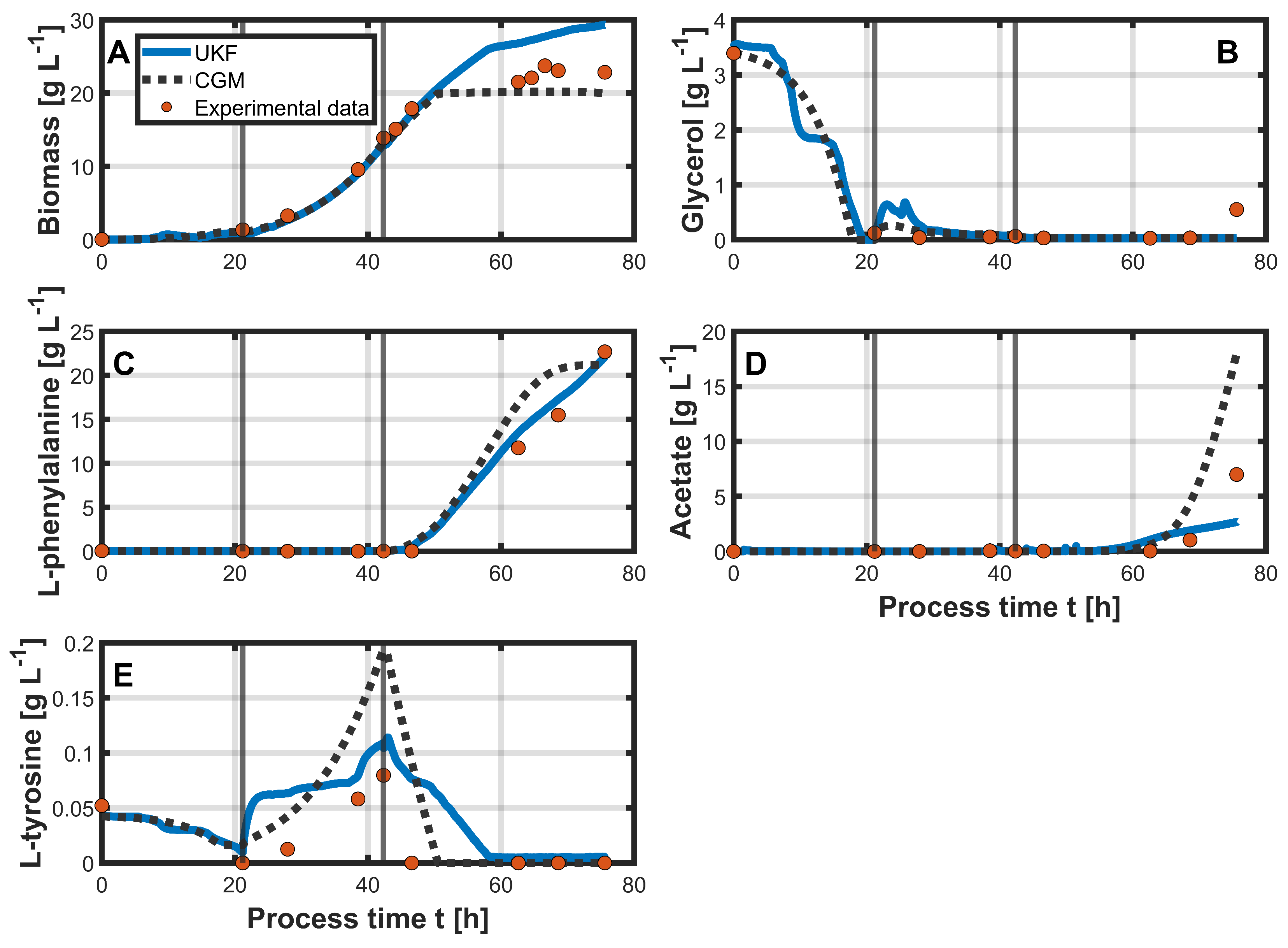 Bioengineering 12 00654 g005