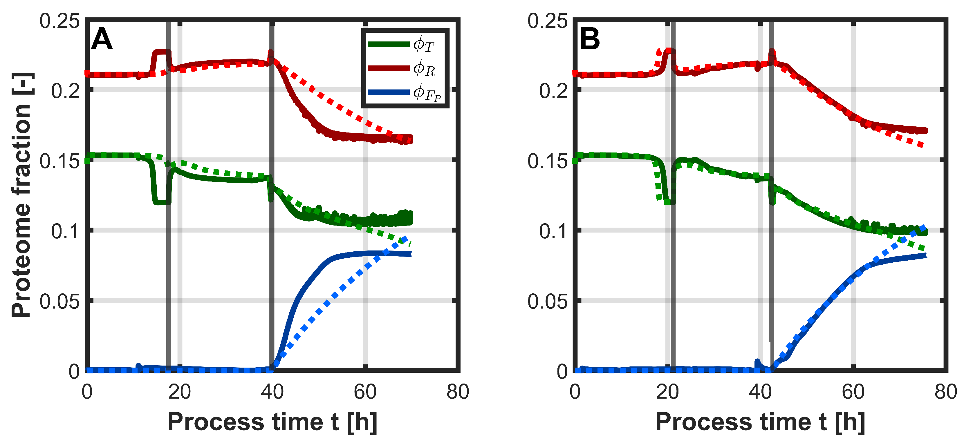 Bioengineering 12 00654 g006
