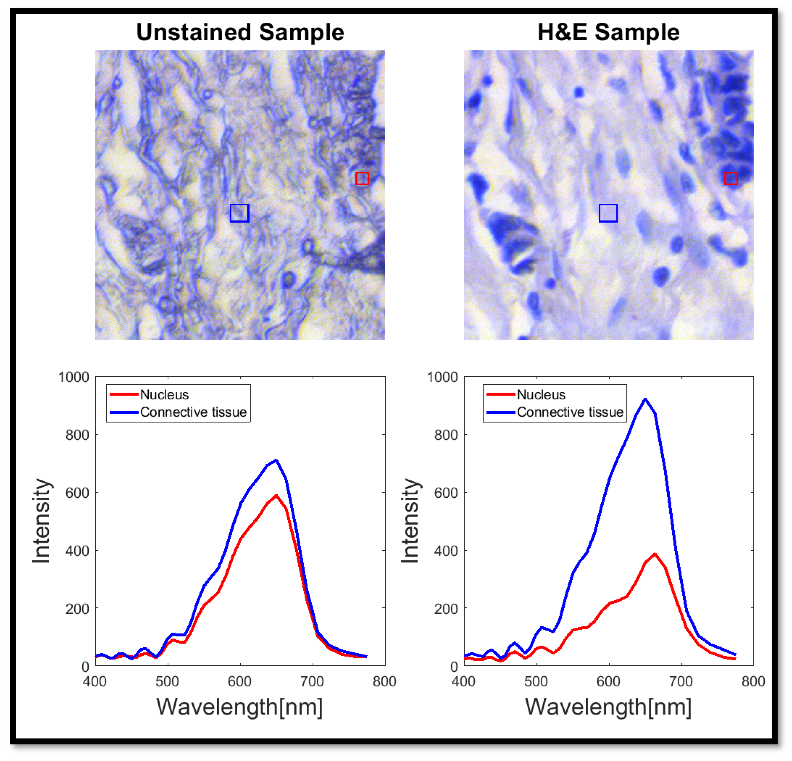 Bioengineering 12 00655 g002