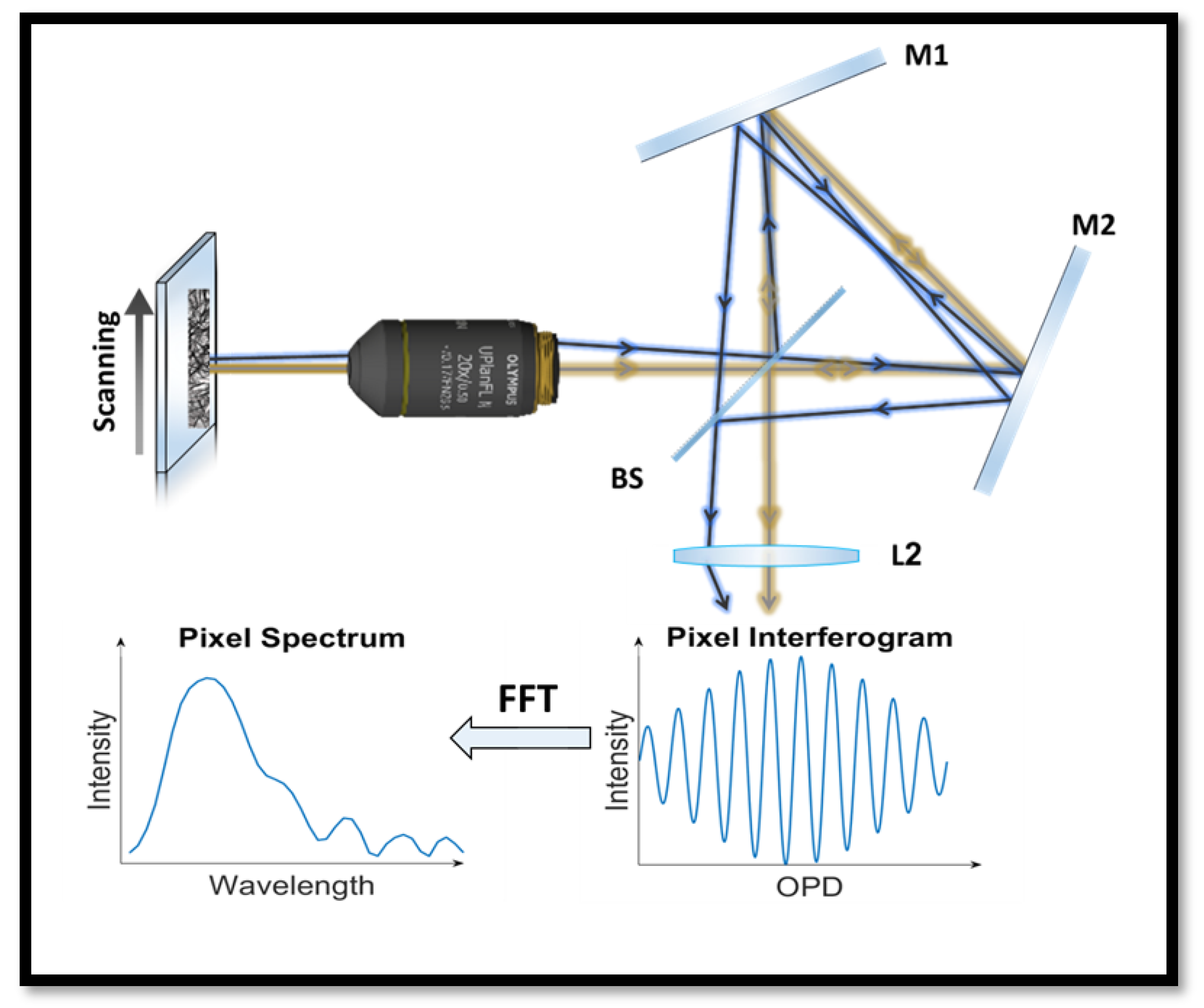 Bioengineering 12 00655 g003
