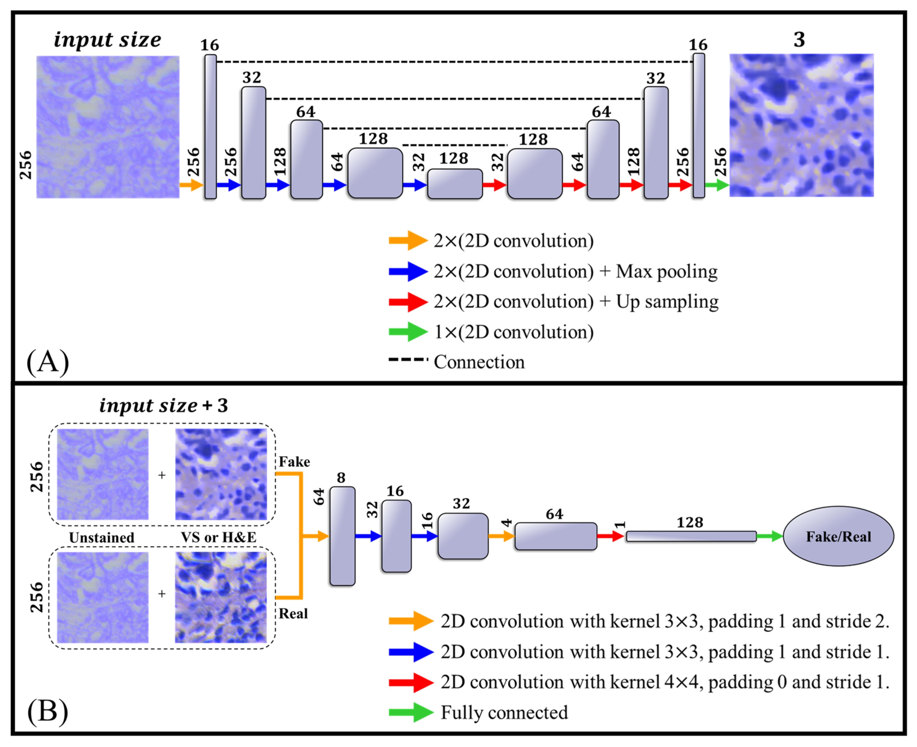 Bioengineering 12 00655 g004