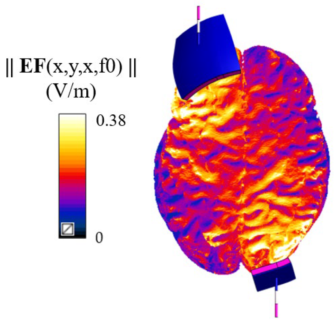 Bioengineering 12 00656 g002 Bioengineering 12 00656 g002