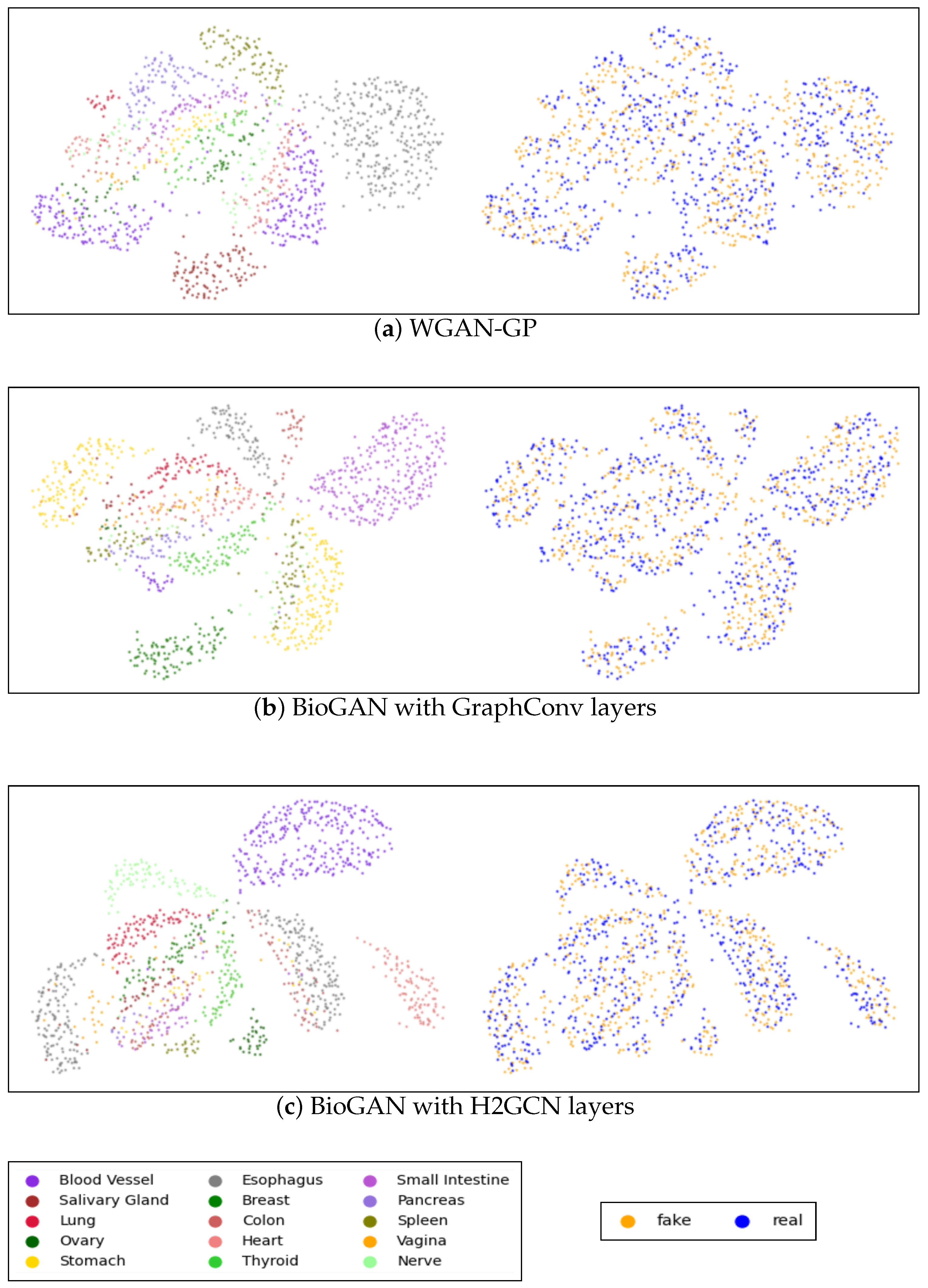 Bioengineering 12 00658 g0a2