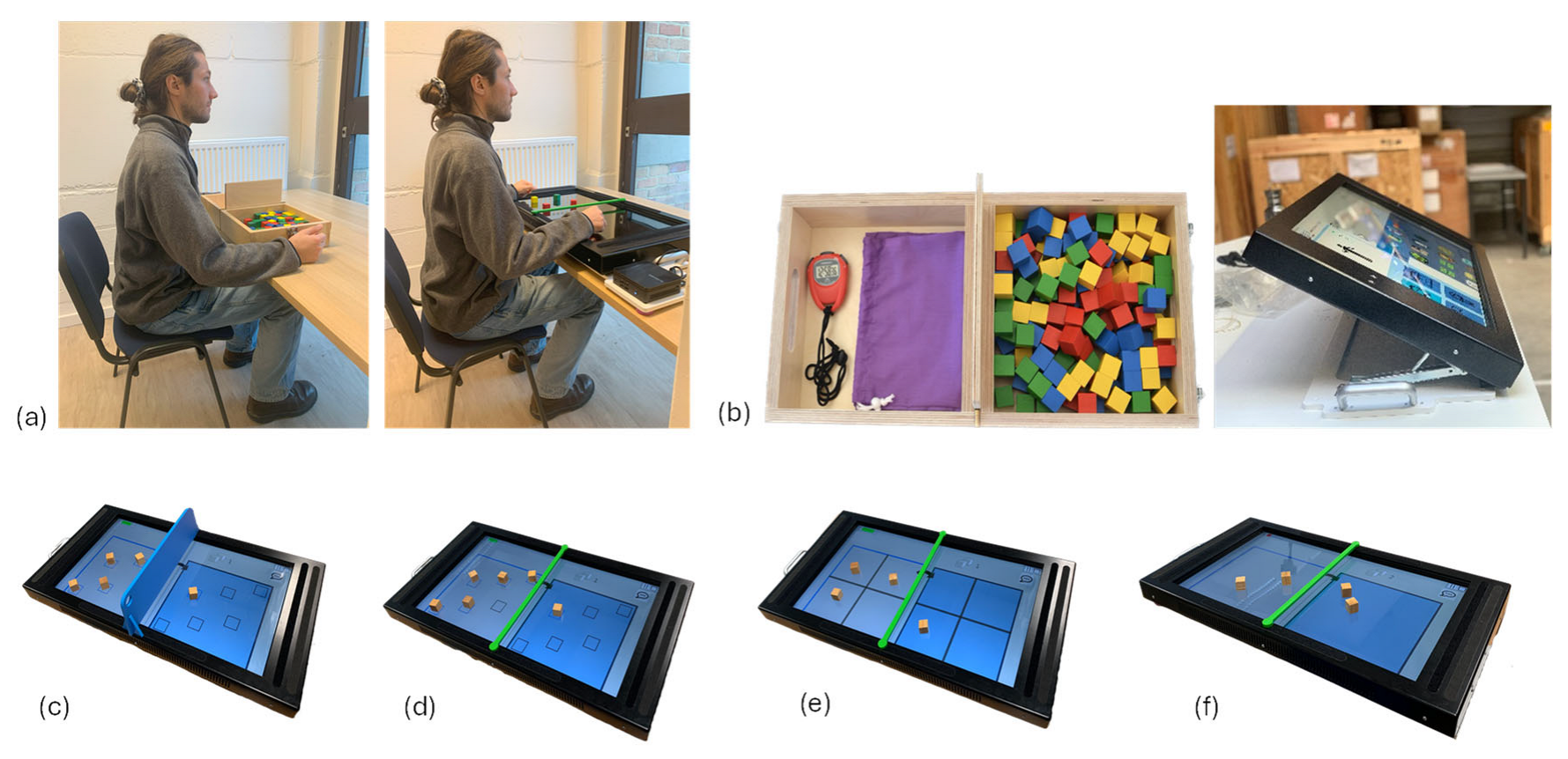 Bioengineering 12 00662 g001