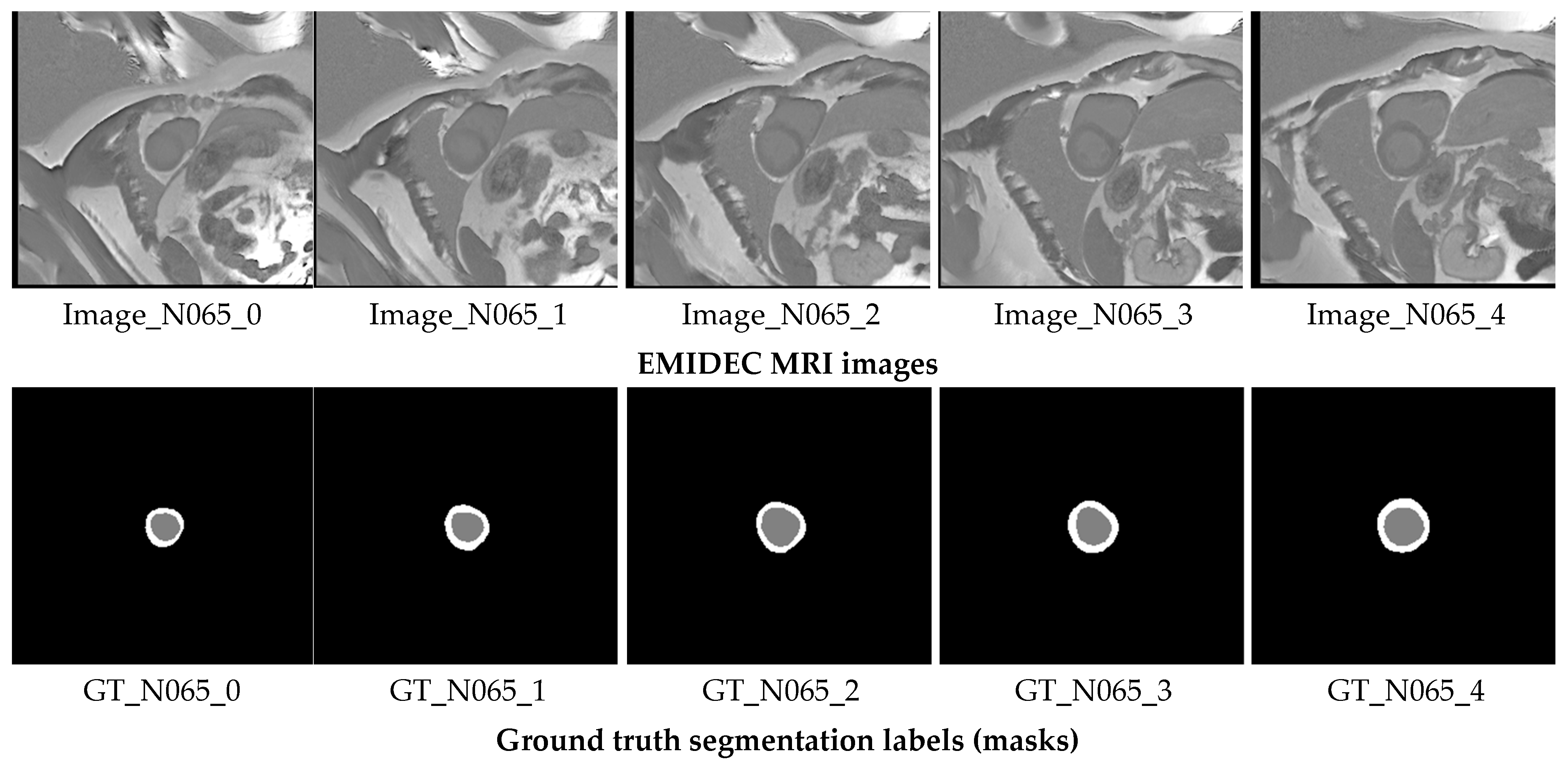 Bioengineering 12 00665 g002