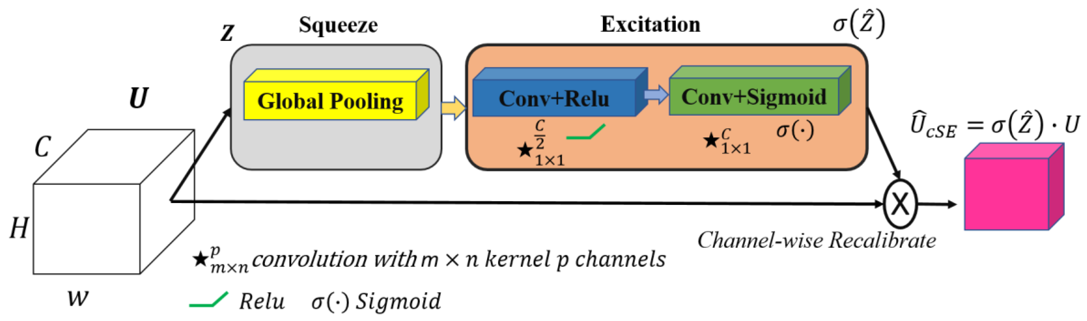 Bioengineering 12 00665 g005
