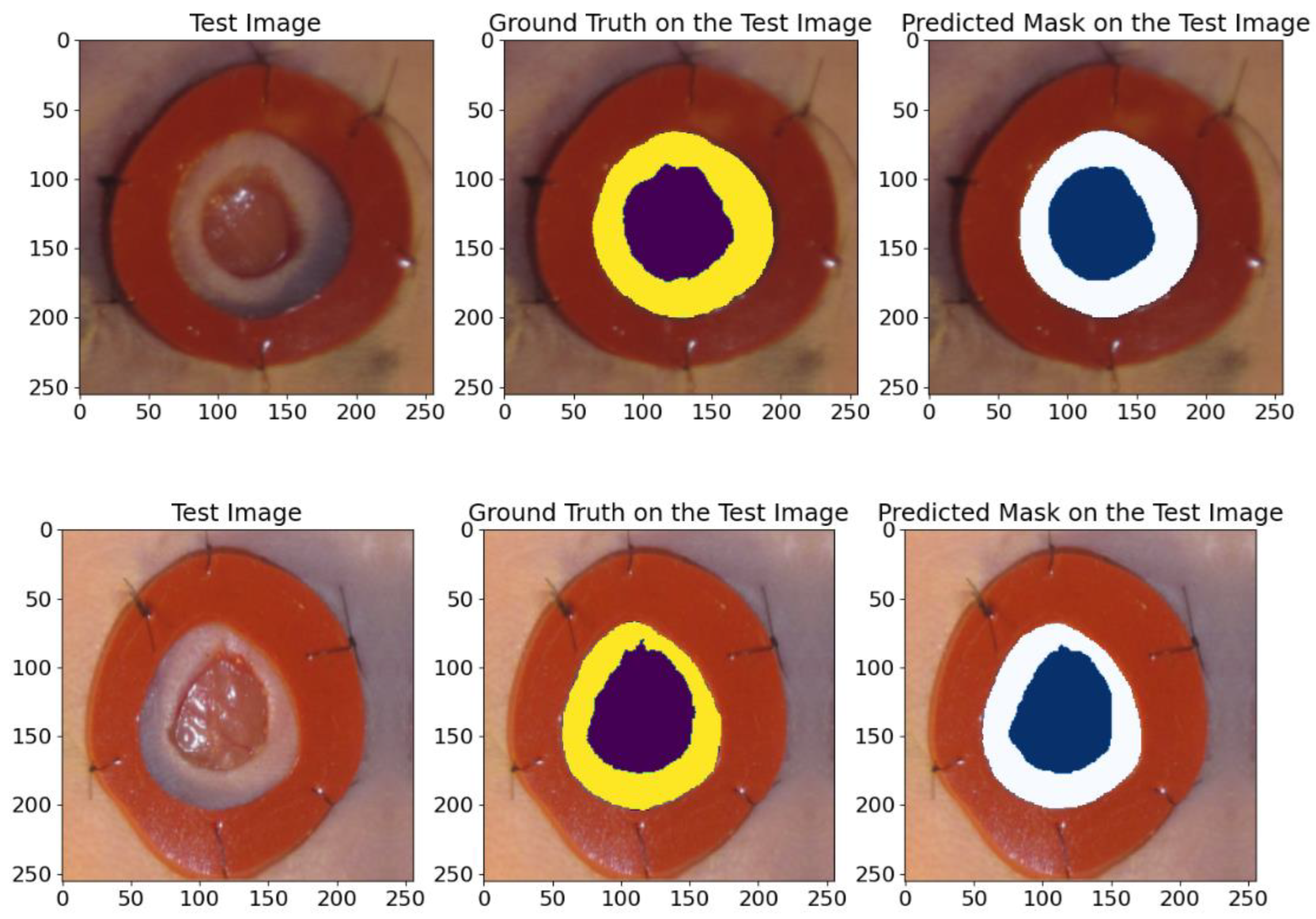 Bioengineering 12 00665 g012